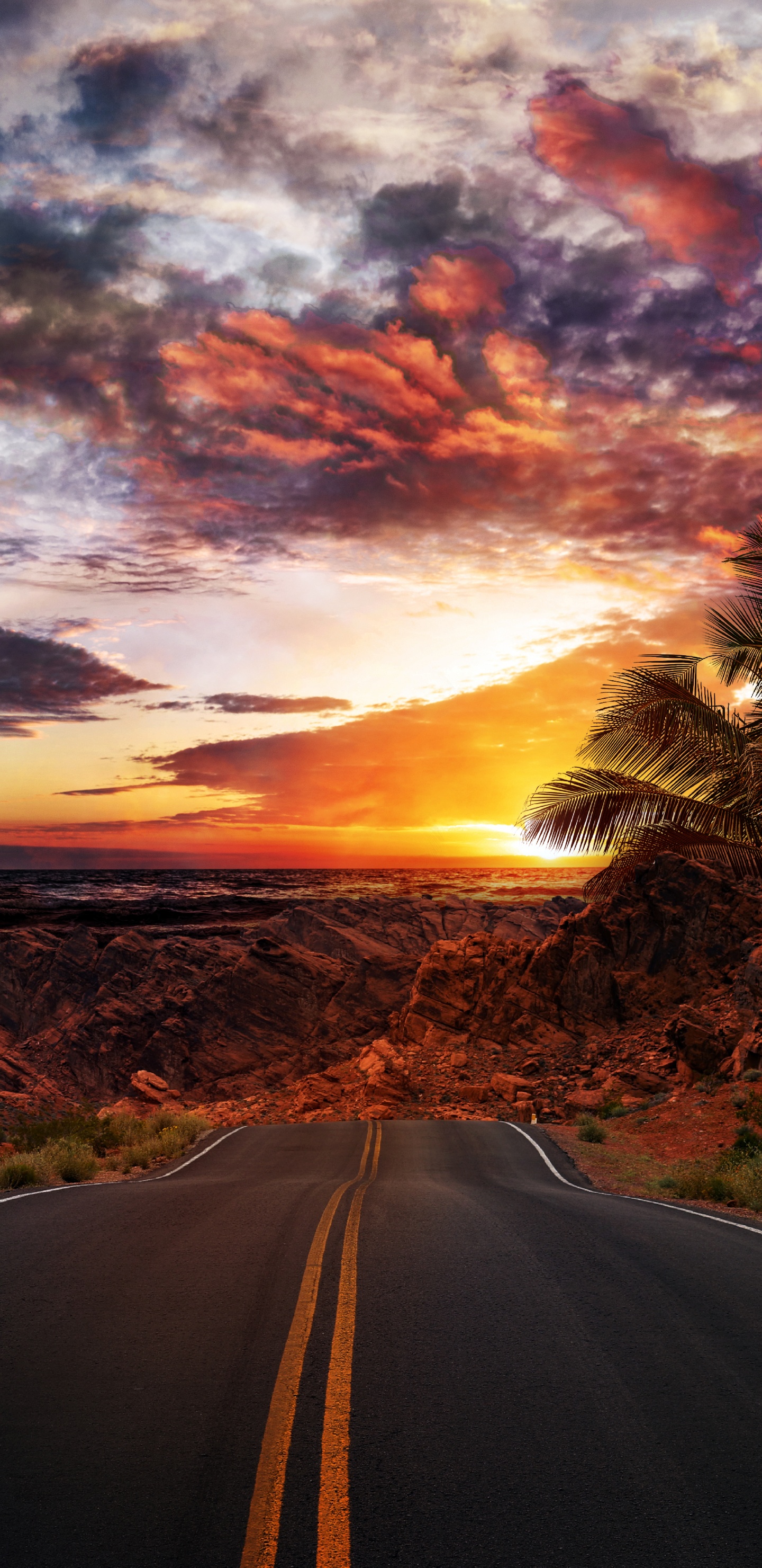 Infrastructure, Paysage Naturel, Surface de la Route, Orange, Afterglow. Wallpaper in 1440x2960 Resolution