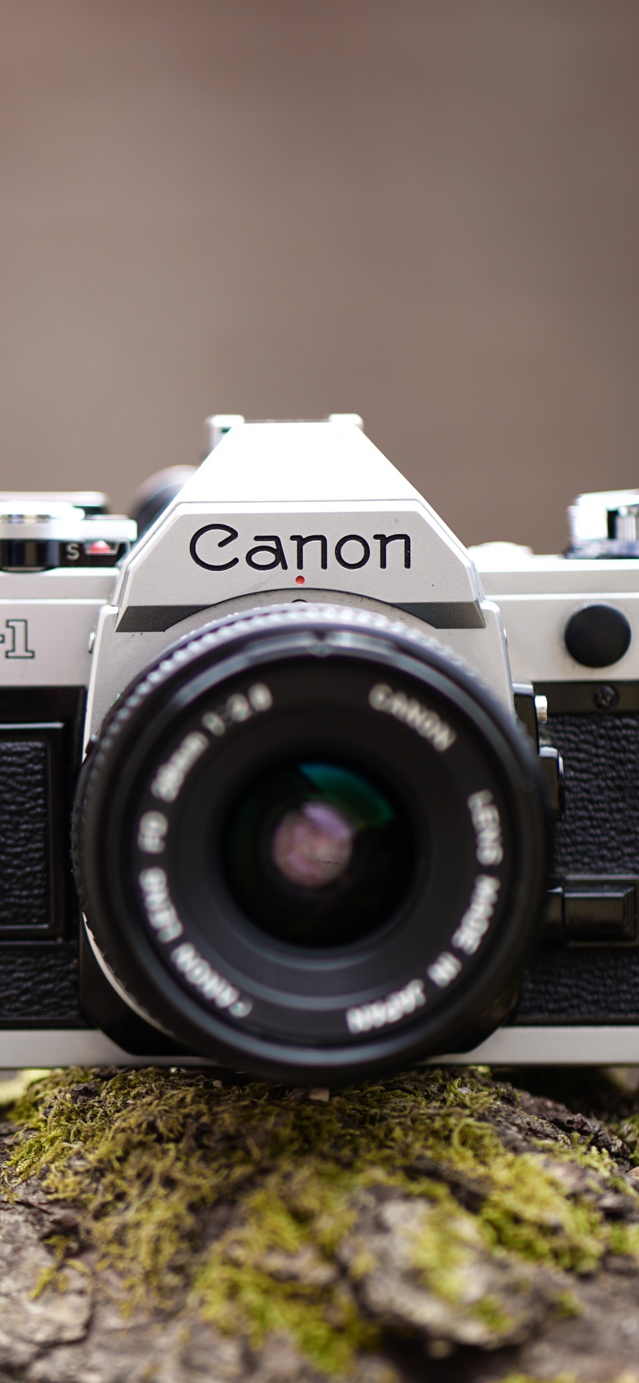 Appareil Photo Reflex Numérique Canon Noir et Argent Sur Brown Rock. Wallpaper in 1242x2688 Resolution