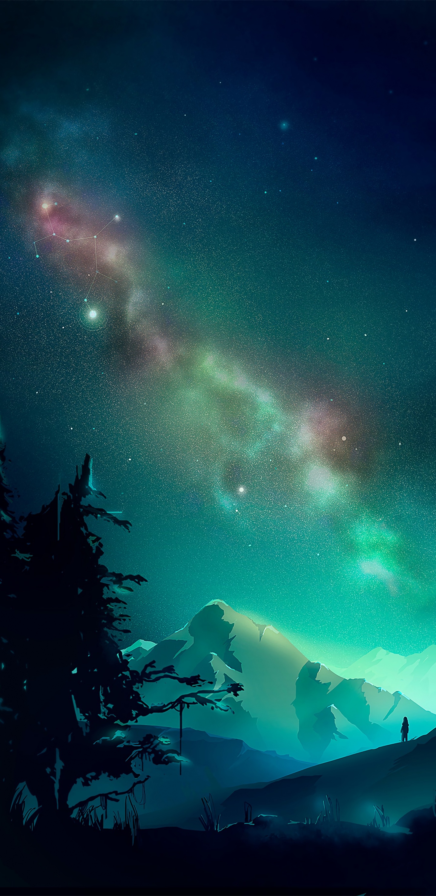 Silhouette of Trees Under Starry Night. Wallpaper in 1440x2960 Resolution