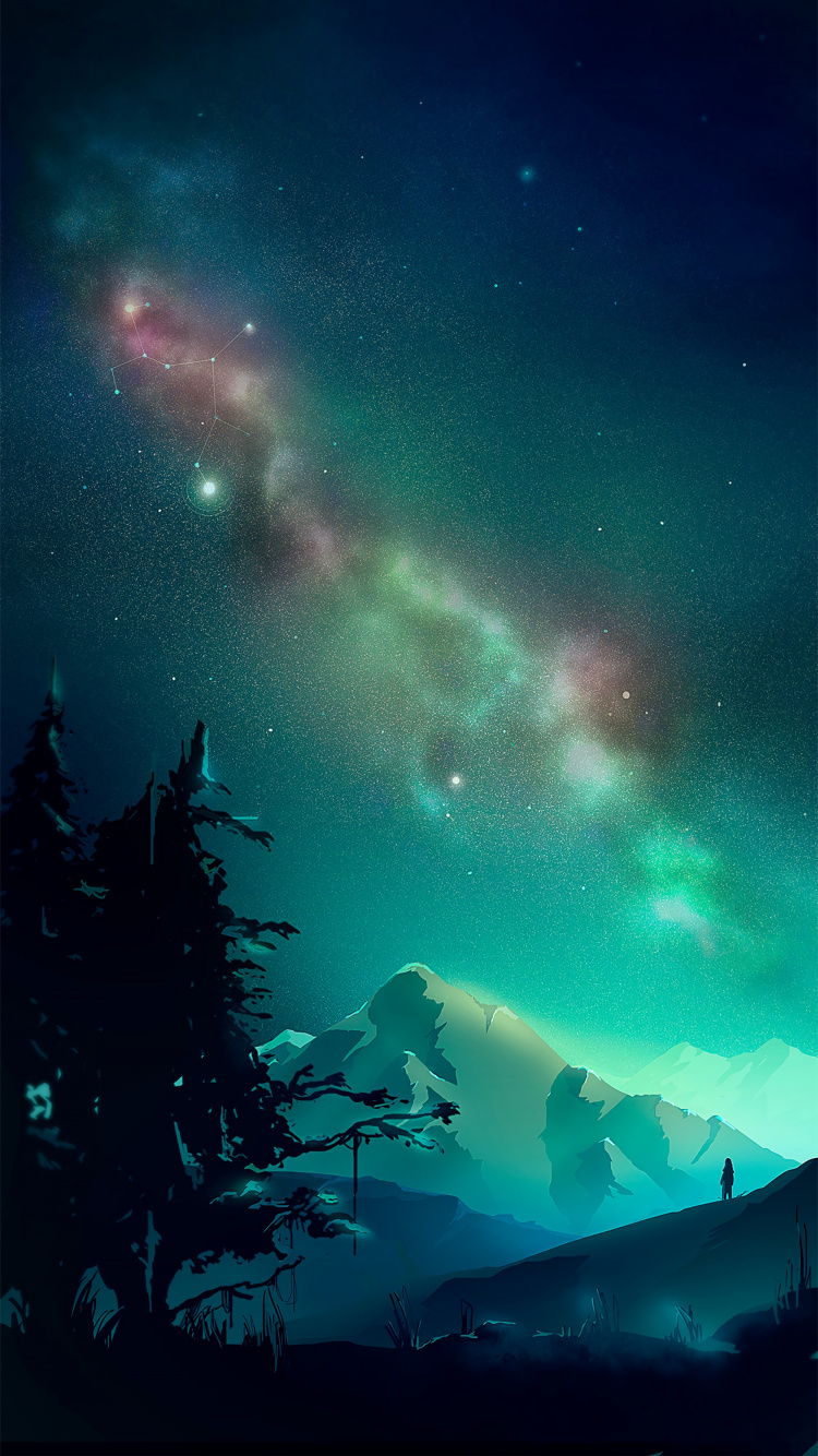 Silhouette of Trees Under Starry Night. Wallpaper in 750x1334 Resolution