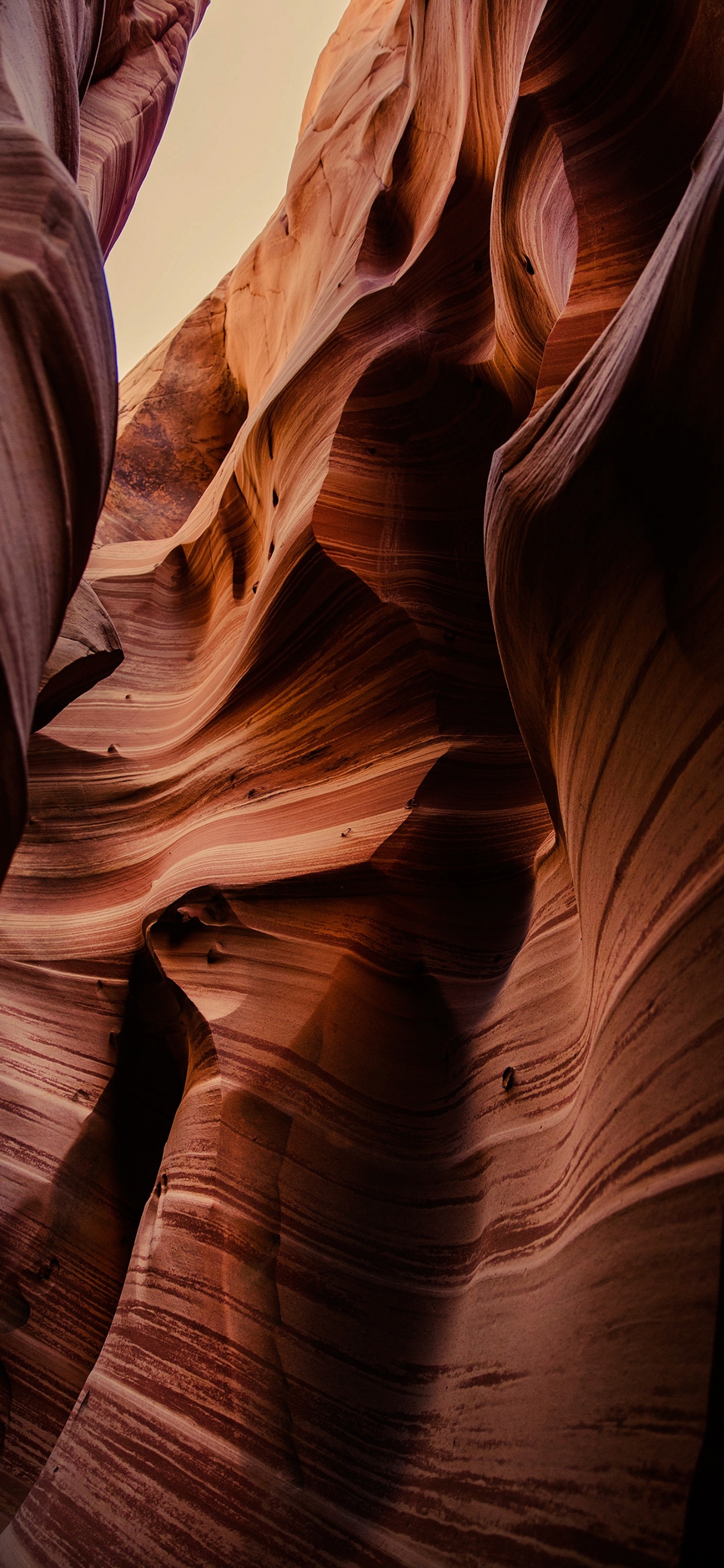 Htc U20, Brombeere Entwickeln, Rock, Naturlandschaft, Farbtöne Und Schattierungen. Wallpaper in 1242x2688 Resolution