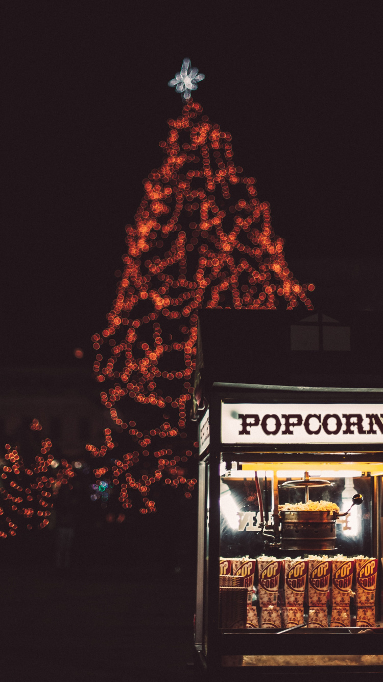 Tree, Christmas Tree, Christmas, Christmas Decoration, Night. Wallpaper in 750x1334 Resolution