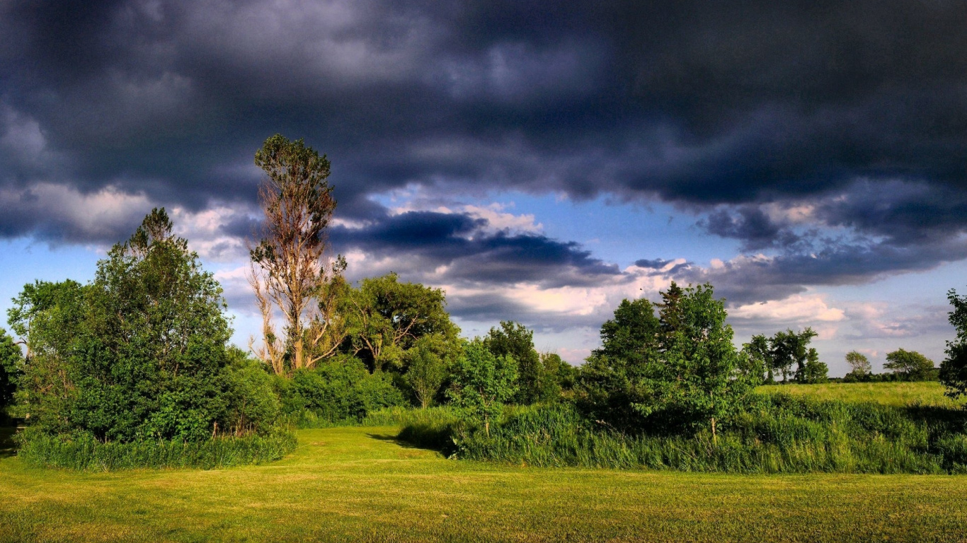 Campo de Hierba Verde Con Árboles Bajo un Cielo Azul y Nubes Blancas Durante el Día. Wallpaper in 1366x768 Resolution