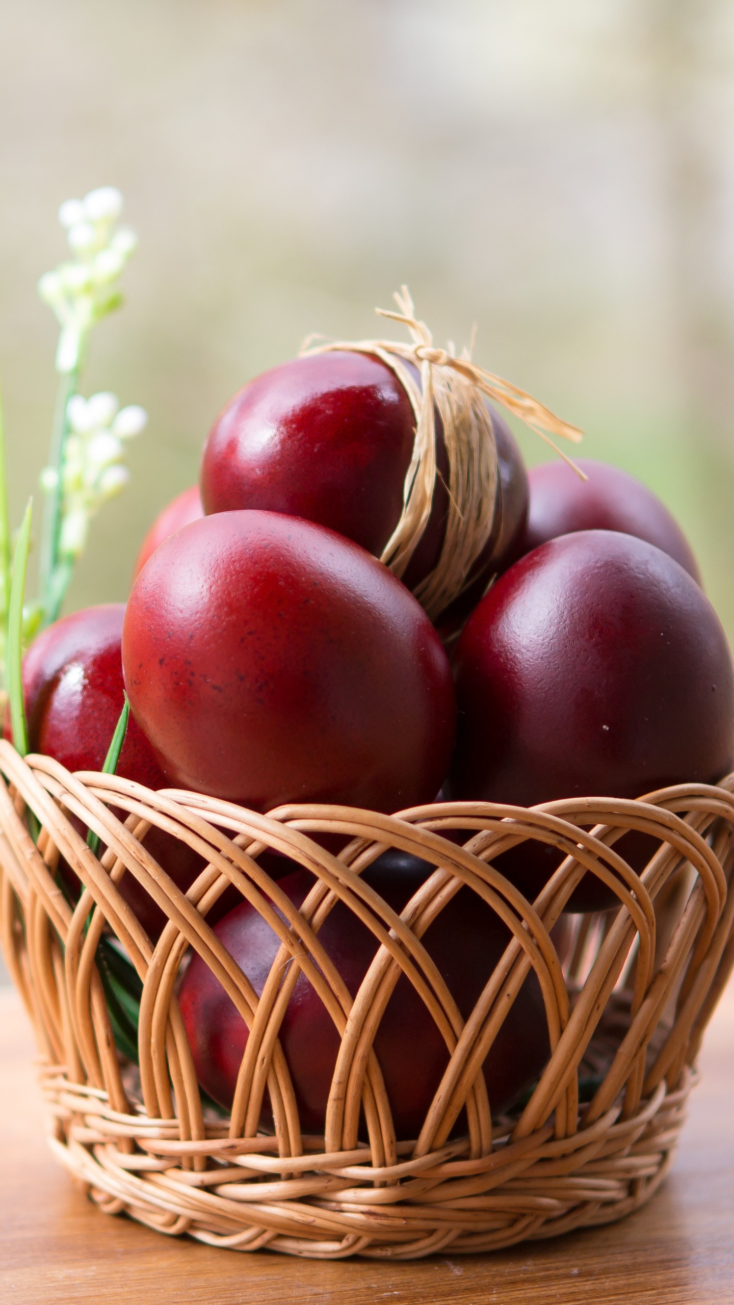 Alimentos Naturales, Alimento, Superalimento, Apple, Producir. Wallpaper in 1440x2560 Resolution