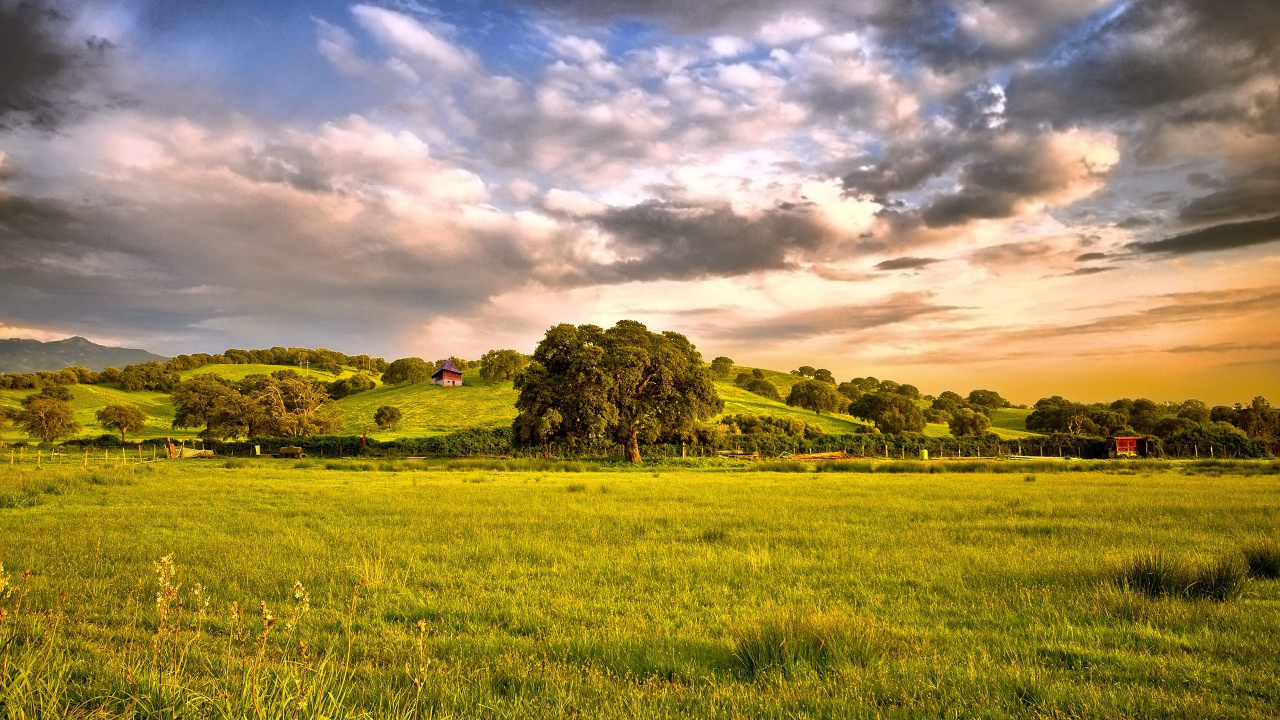 Green Grass Field Under Cloudy Sky During Daytime. Wallpaper in 1280x720 Resolution