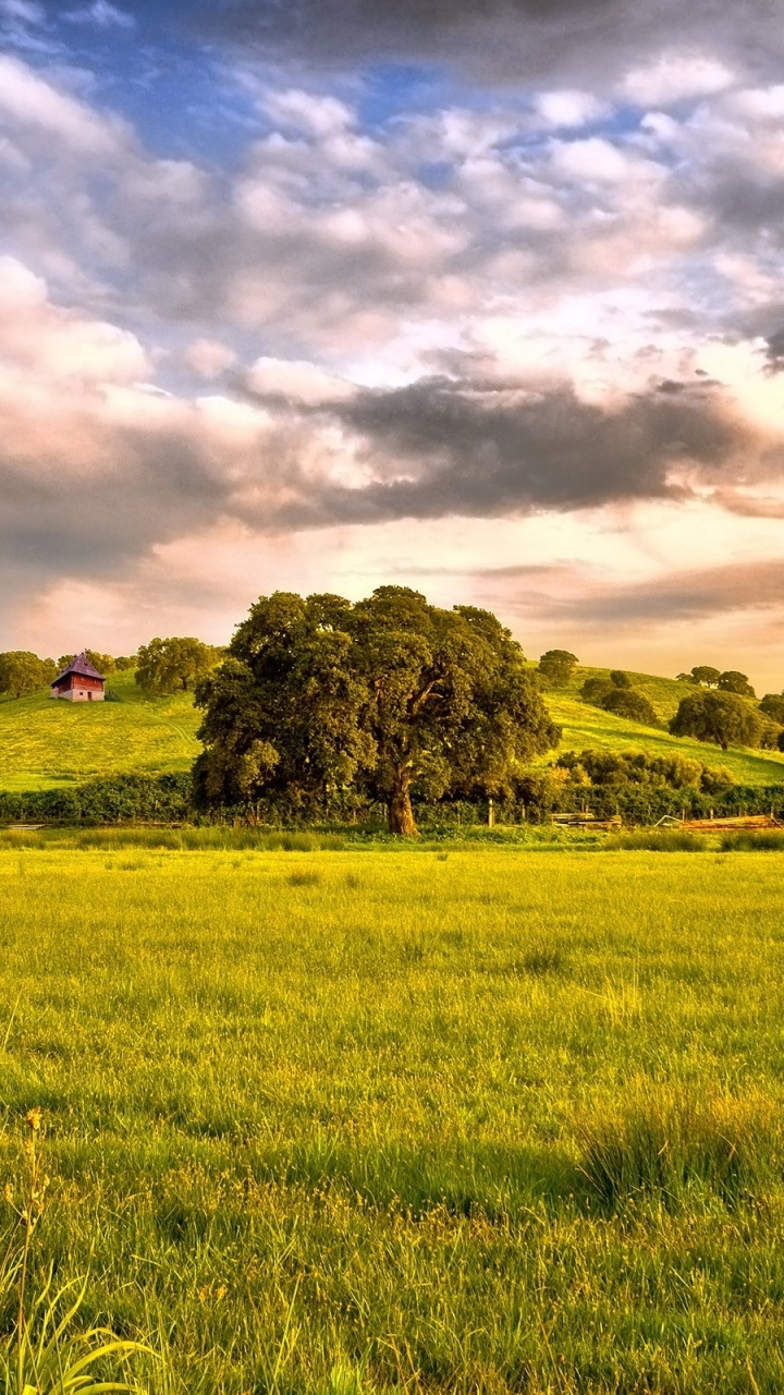 Green Grass Field Under Cloudy Sky During Daytime. Wallpaper in 720x1280 Resolution