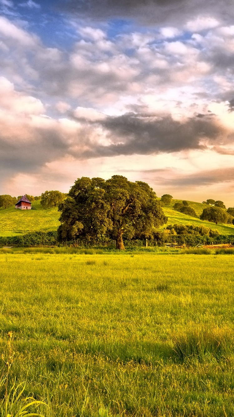 Green Grass Field Under Cloudy Sky During Daytime. Wallpaper in 750x1334 Resolution