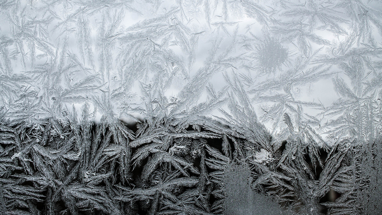 Weißes Und Graues Florales Textil. Wallpaper in 1280x720 Resolution