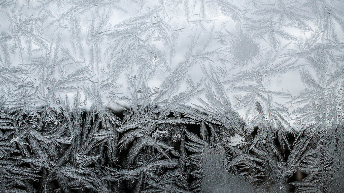 Weißes Und Graues Florales Textil. Wallpaper in 1366x768 Resolution