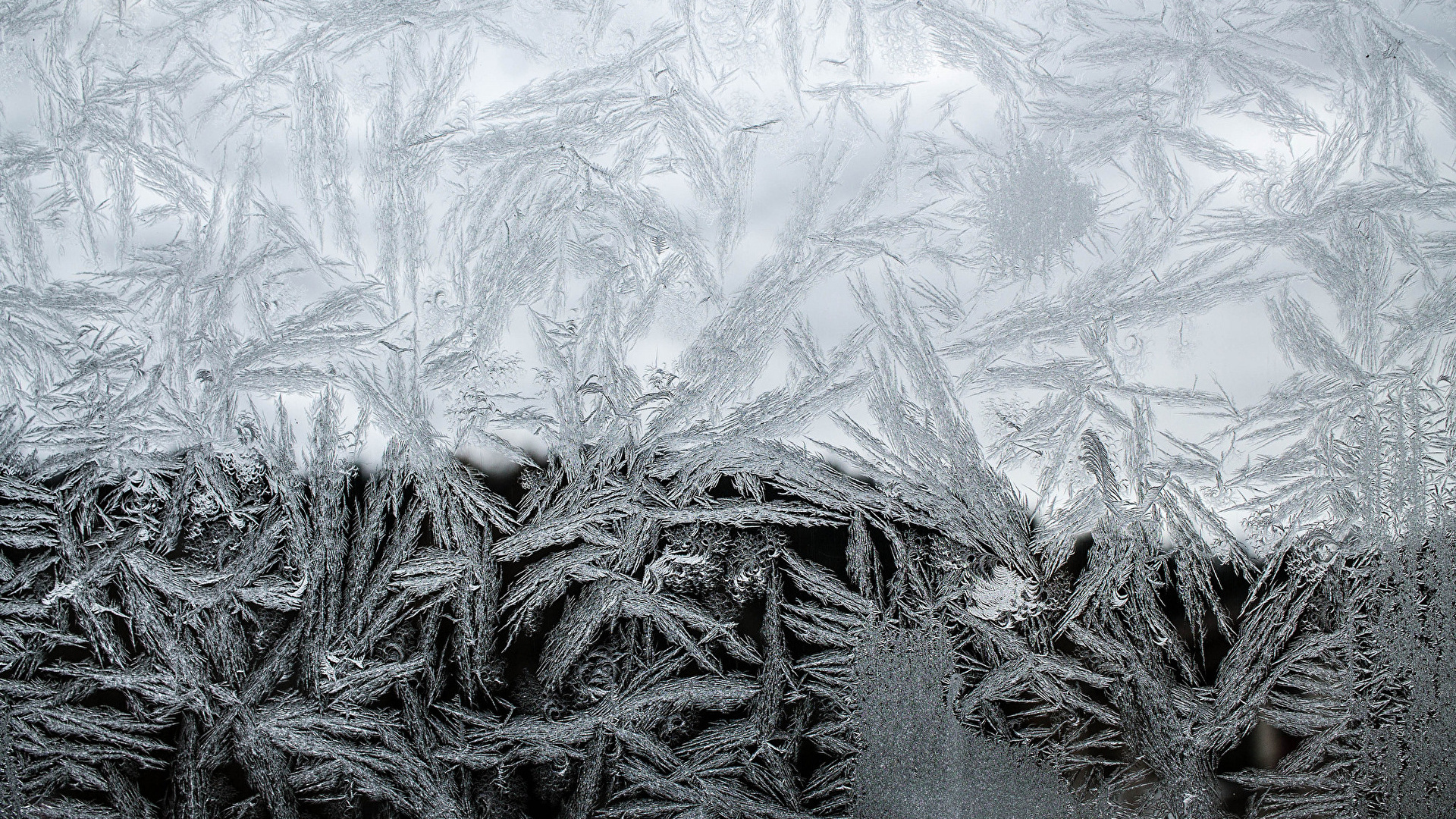 Weißes Und Graues Florales Textil. Wallpaper in 1920x1080 Resolution