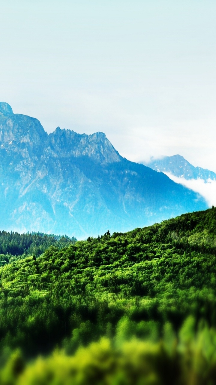 Green Grass Field Near Mountain During Daytime. Wallpaper in 720x1280 Resolution