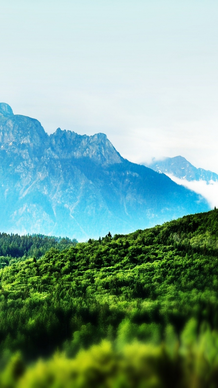 Green Grass Field Near Mountain During Daytime. Wallpaper in 750x1334 Resolution