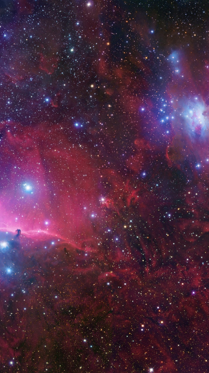 Lila Und Schwarze Galaxie Mit Sternen. Wallpaper in 720x1280 Resolution