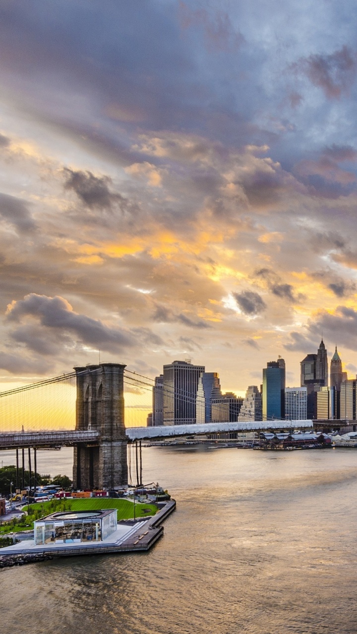 Barco Blanco y Negro Sobre el Agua Cerca Del Puente Durante el Día. Wallpaper in 720x1280 Resolution