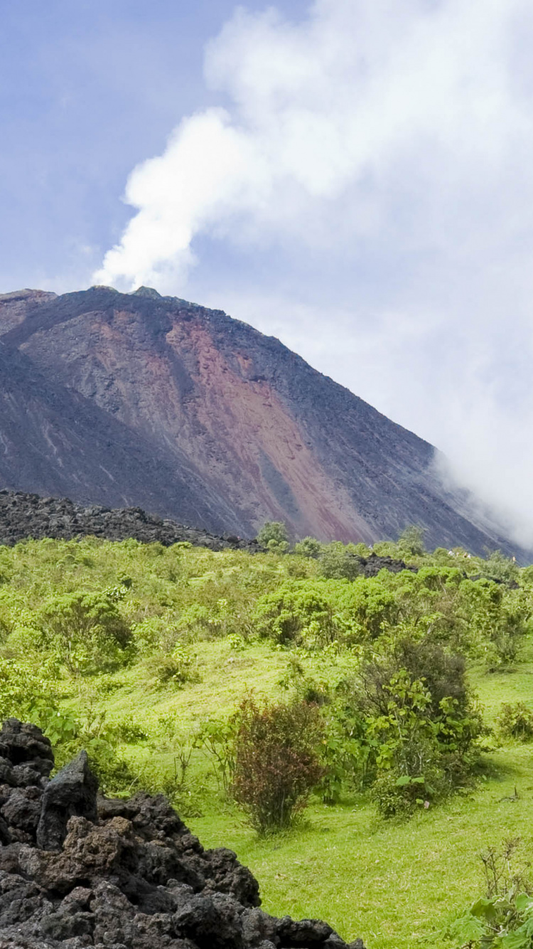 Campo de Hierba Verde Cerca de la Montaña Bajo Nubes Blancas y Cielo Azul Durante el Día. Wallpaper in 750x1334 Resolution