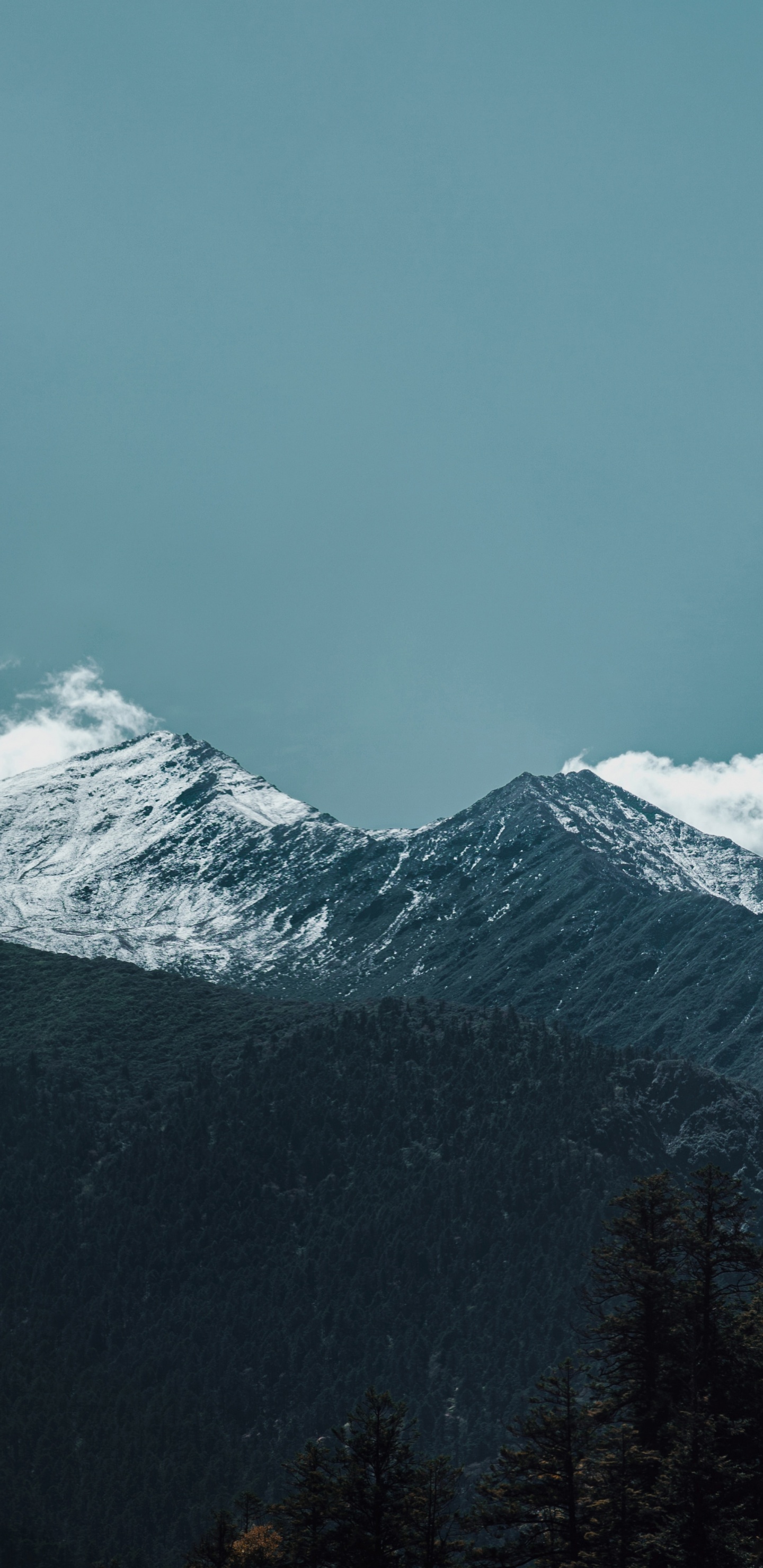 Cloud, Bergkette, Cumulus, Schnee, Bergigen Landschaftsformen. Wallpaper in 1440x2960 Resolution