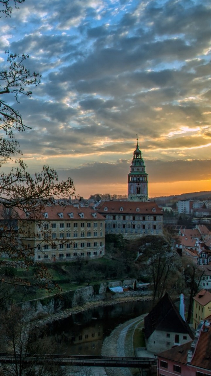 Arbre nu Brun Près du Bâtiment en Béton Blanc Pendant la Journée. Wallpaper in 720x1280 Resolution