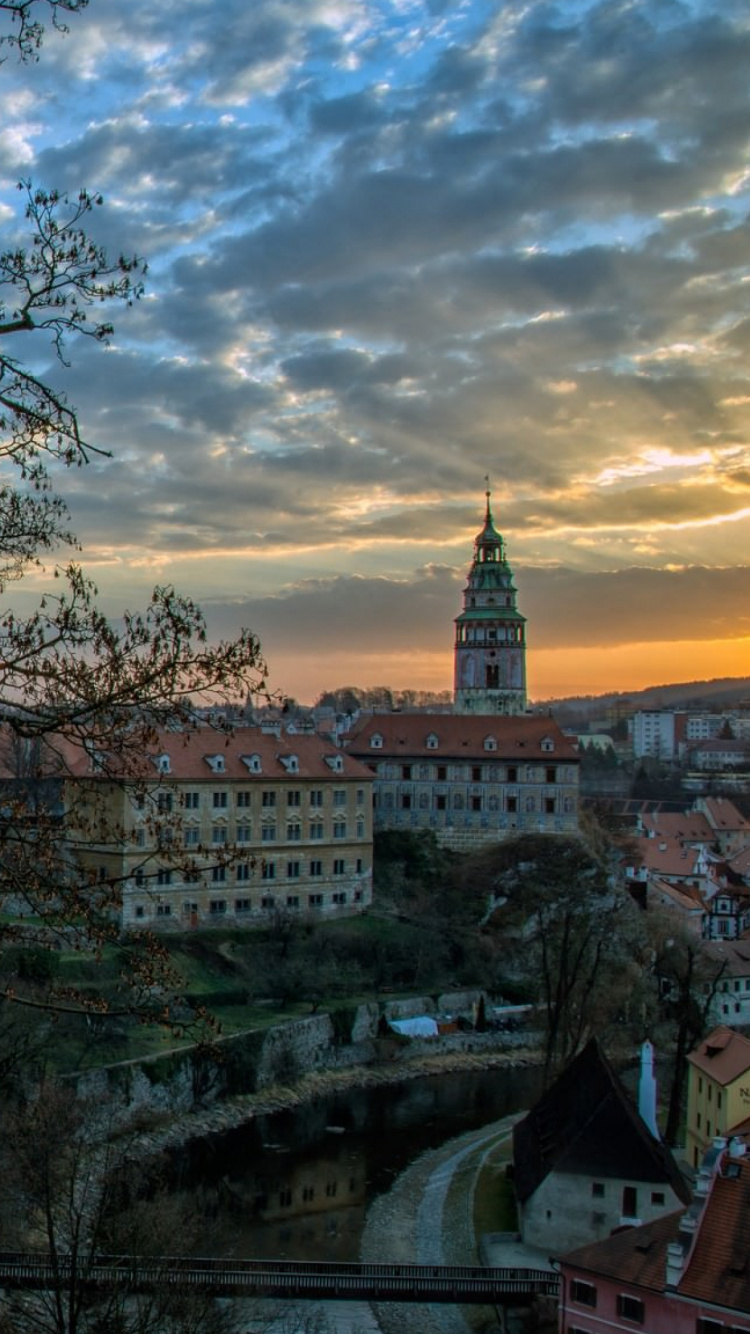 Árbol Desnudo Marrón Cerca Del Edificio de Hormigón Blanco Durante el Día. Wallpaper in 750x1334 Resolution
