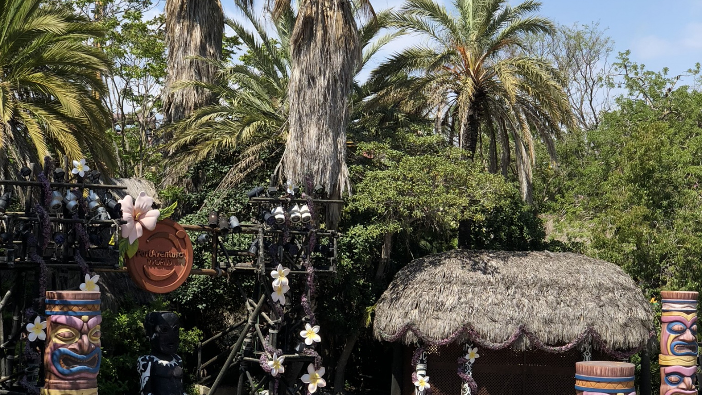 Palm Trees, Tourist Attraction, Date Palm, Tourism, Tree. Wallpaper in 1366x768 Resolution