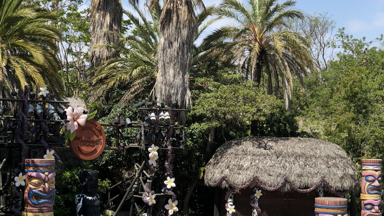 Palmier, Attraction Touristique, Dattier, Tourisme, Plantes Ligneuses. Wallpaper in 1280x720 Resolution