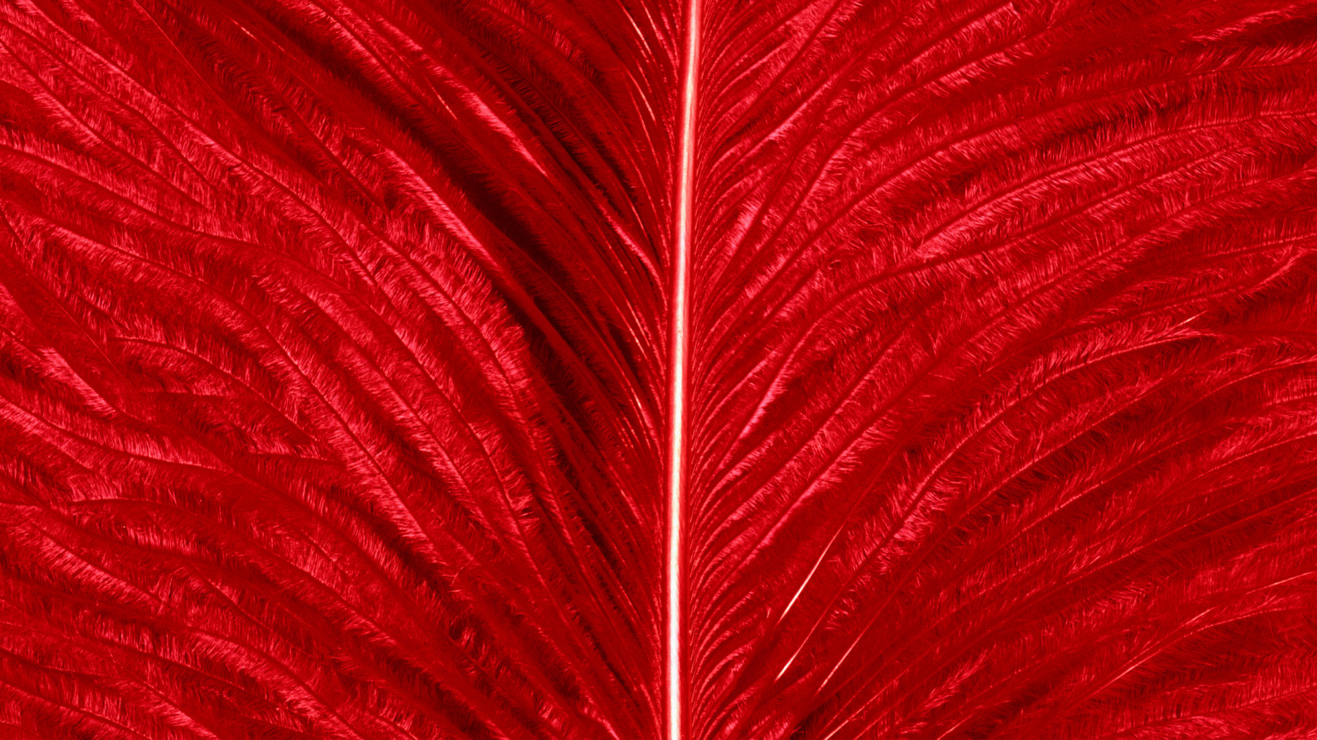 红色的, 乐团, 工厂, 关闭了 壁纸 1920x1080 允许