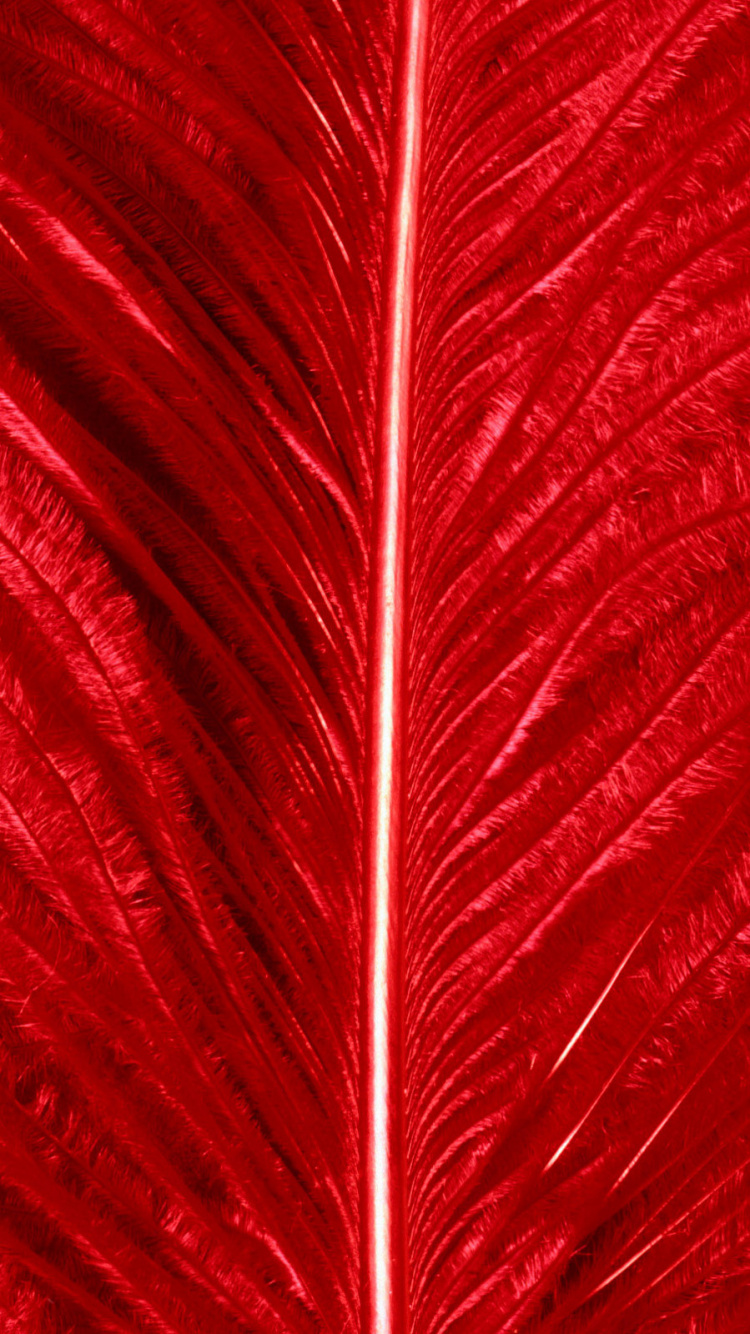 Red and White Abstract Painting. Wallpaper in 750x1334 Resolution
