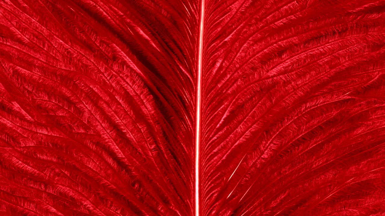 Pintura Abstracta Roja y Blanca. Wallpaper in 1280x720 Resolution