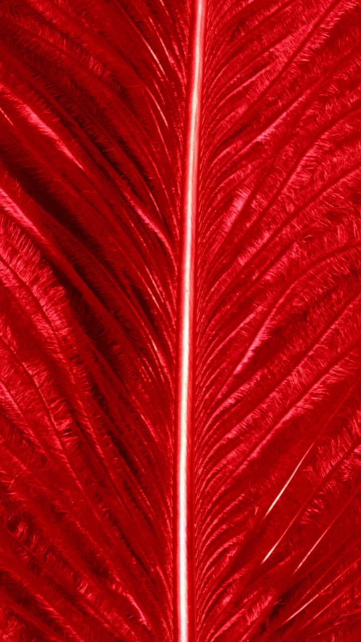 Pintura Abstracta Roja y Blanca. Wallpaper in 720x1280 Resolution