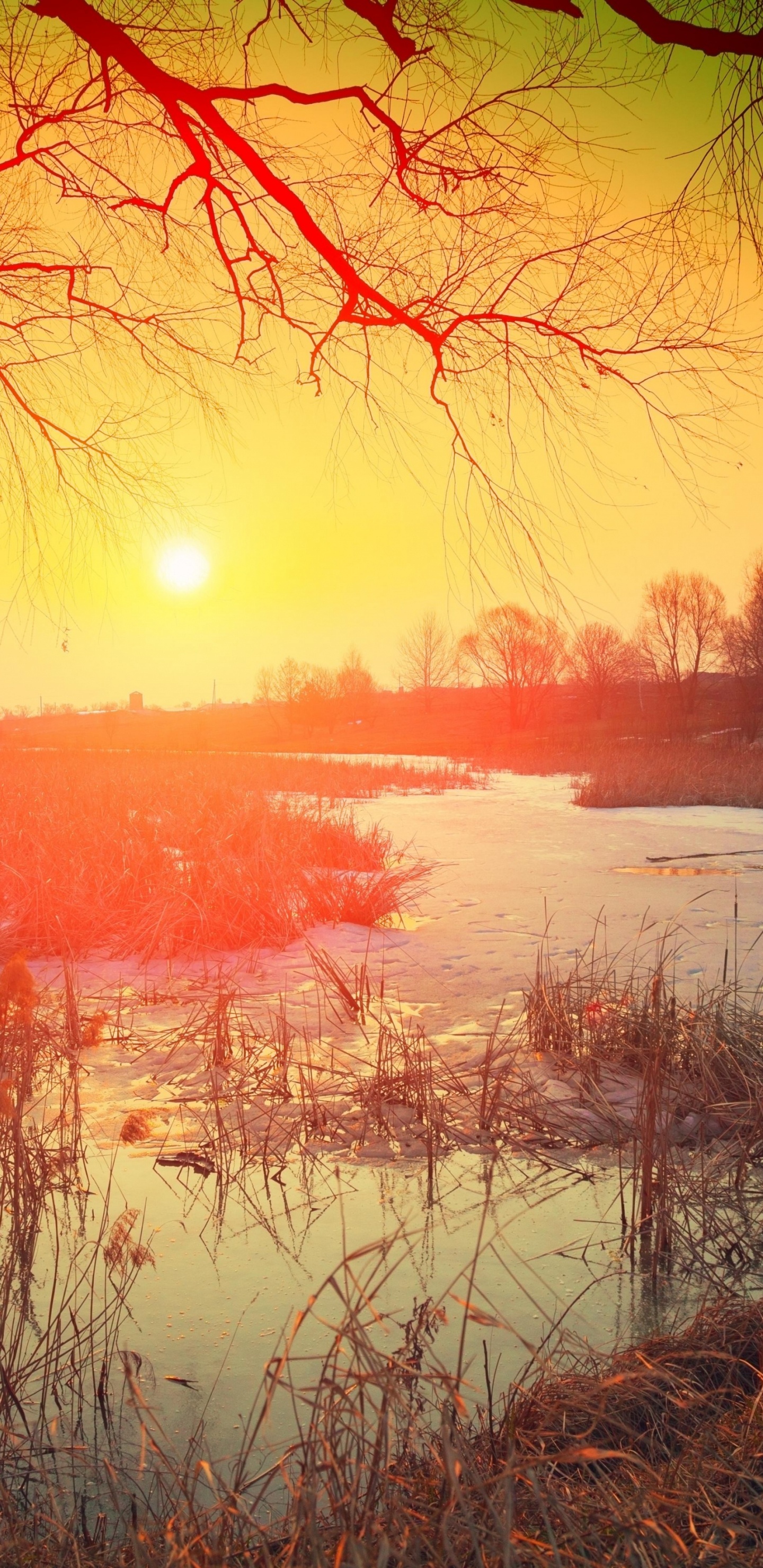 Natur, Visual Arts, Musik Zum Arbeiten, Malerei, Musik Zum Lernen. Wallpaper in 1440x2960 Resolution