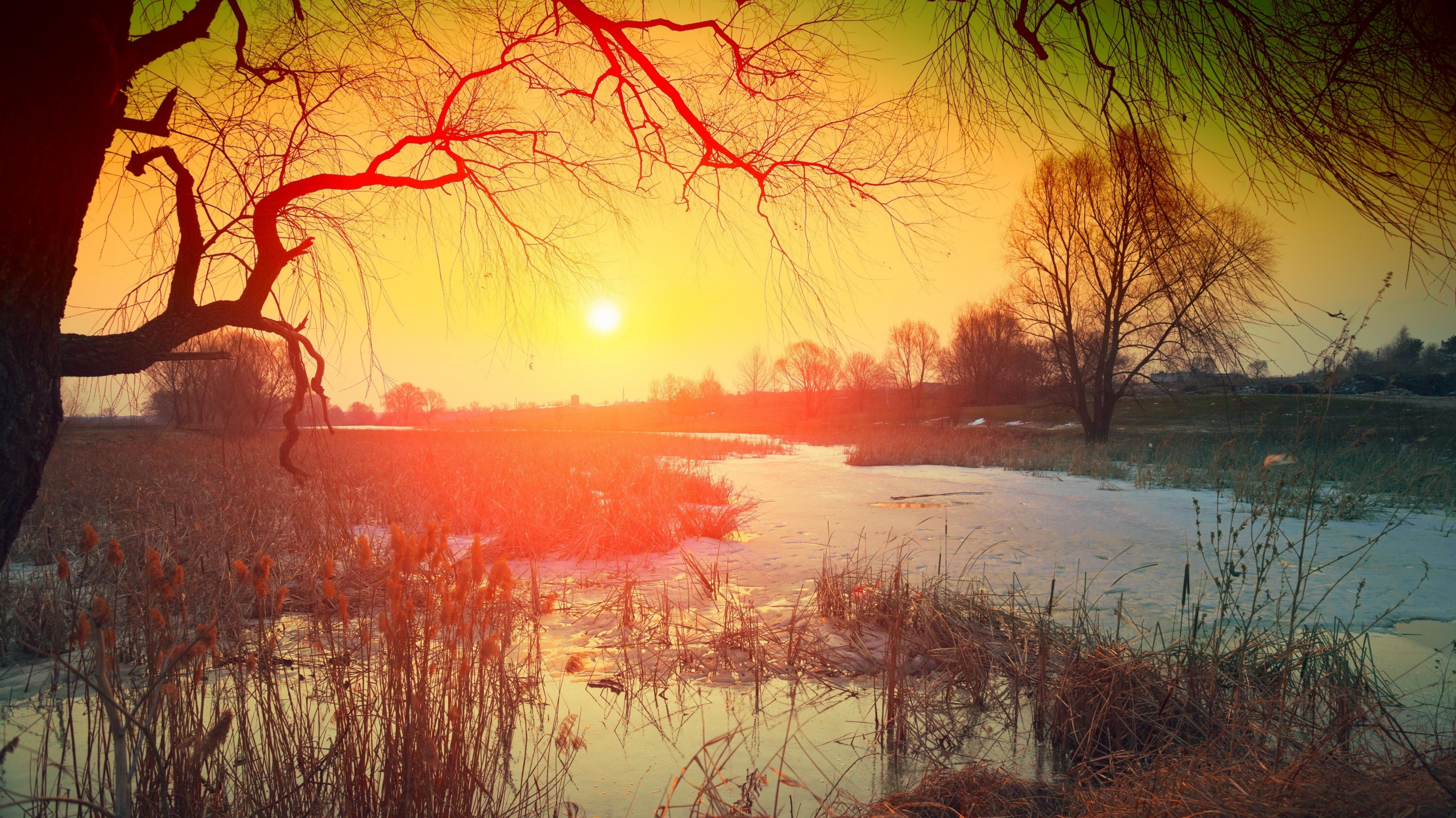 Natur, Visual Arts, Musik Zum Arbeiten, Malerei, Musik Zum Lernen. Wallpaper in 2560x1440 Resolution