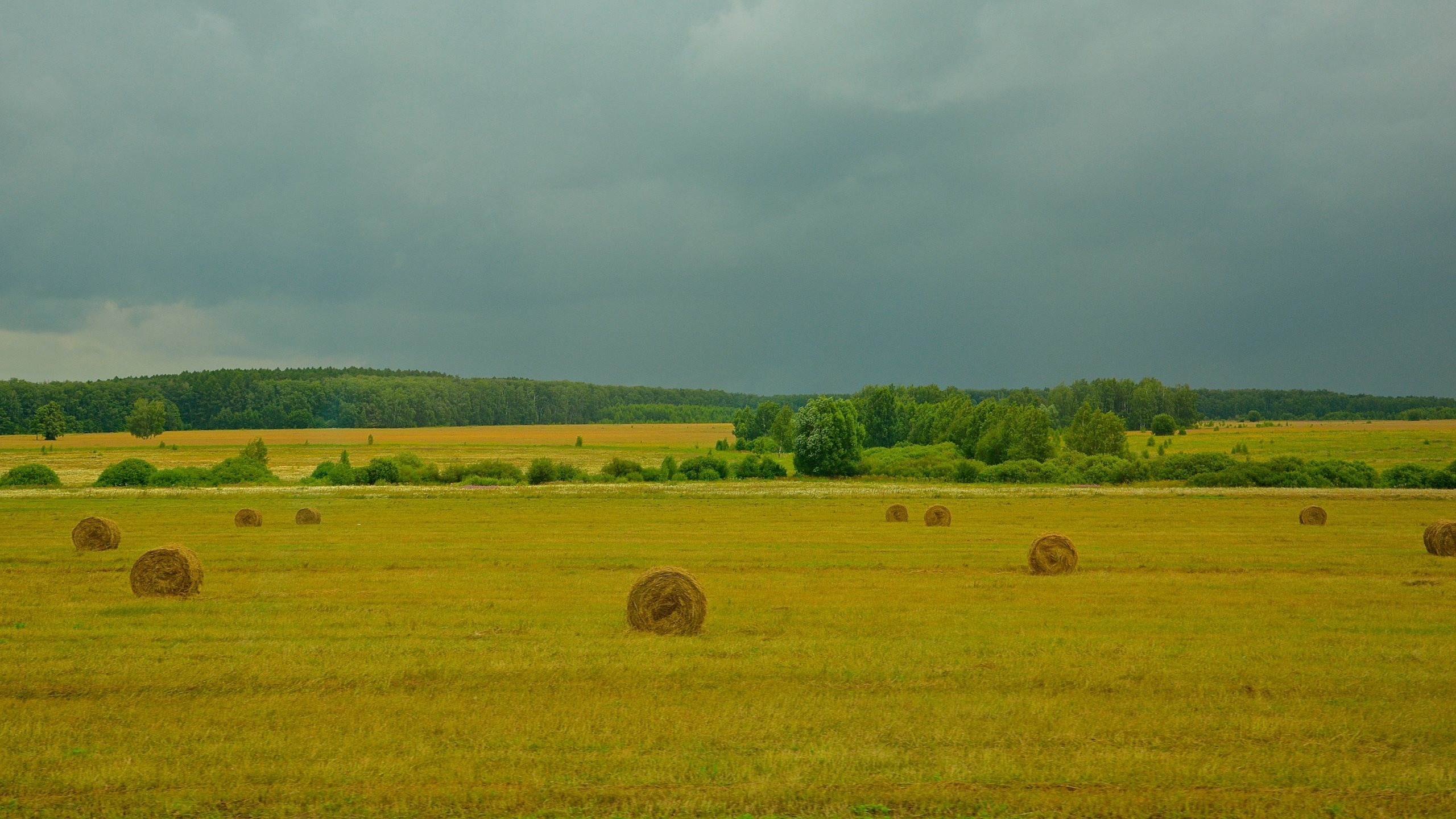 Brown Grass Field Under White Clouds During Daytime. Wallpaper in 2560x1440 Resolution