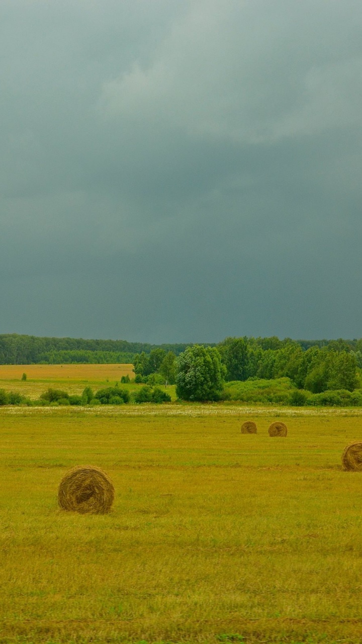 Brown Grass Field Under White Clouds During Daytime. Wallpaper in 720x1280 Resolution