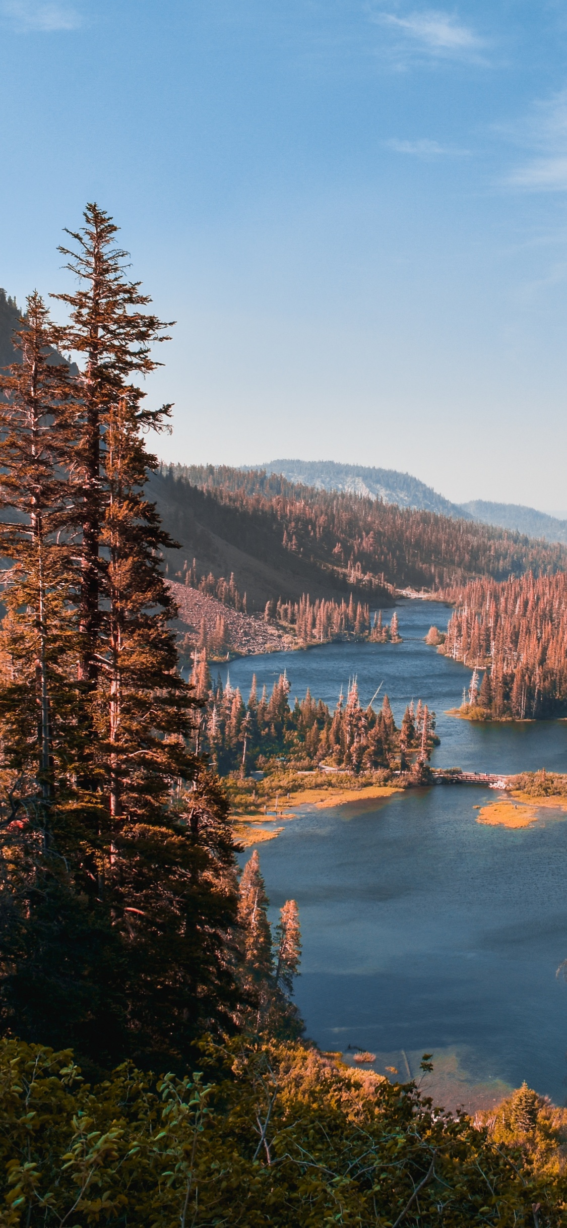 Wilderness, Tree, Desert, Twin Lakes, Natural Landscape. Wallpaper in 1125x2436 Resolution