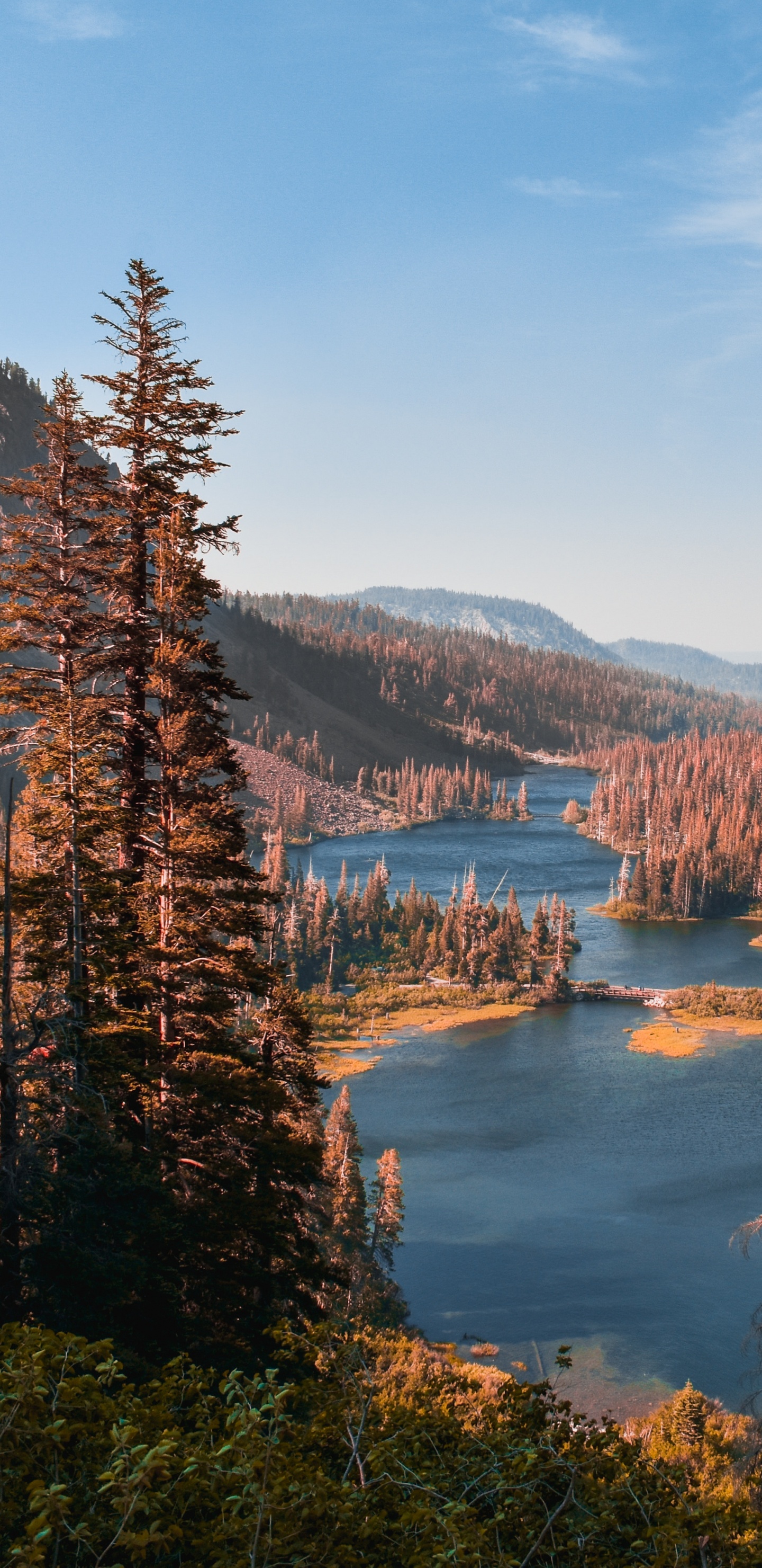 Wilderness, Tree, Desert, Twin Lakes, Natural Landscape. Wallpaper in 1440x2960 Resolution