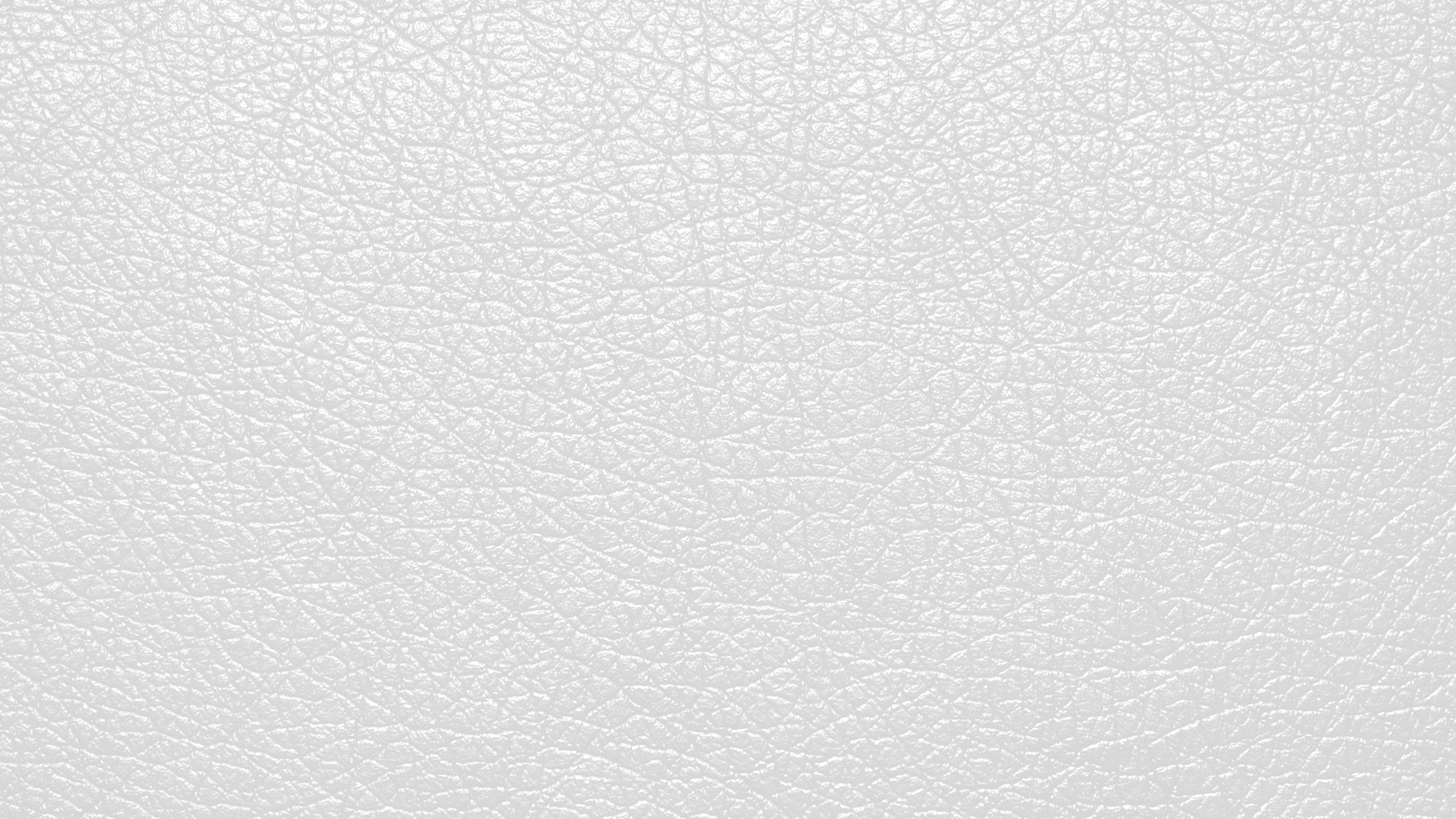 Peinture Murale Blanche et Noire. Wallpaper in 2560x1440 Resolution