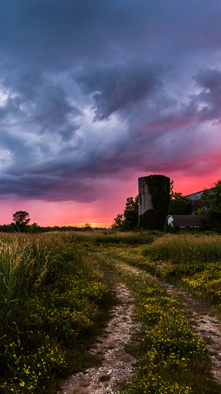 Grüne Wiese in Der Nähe Des Hauses Während Des Sonnenuntergangs. Wallpaper in 750x1334 Resolution