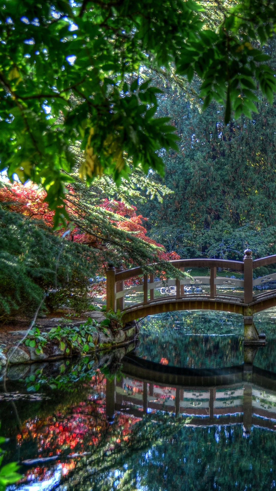 性质, 植被, 绿色的, 自然景观, 自然环境 壁纸 1080x1920 允许