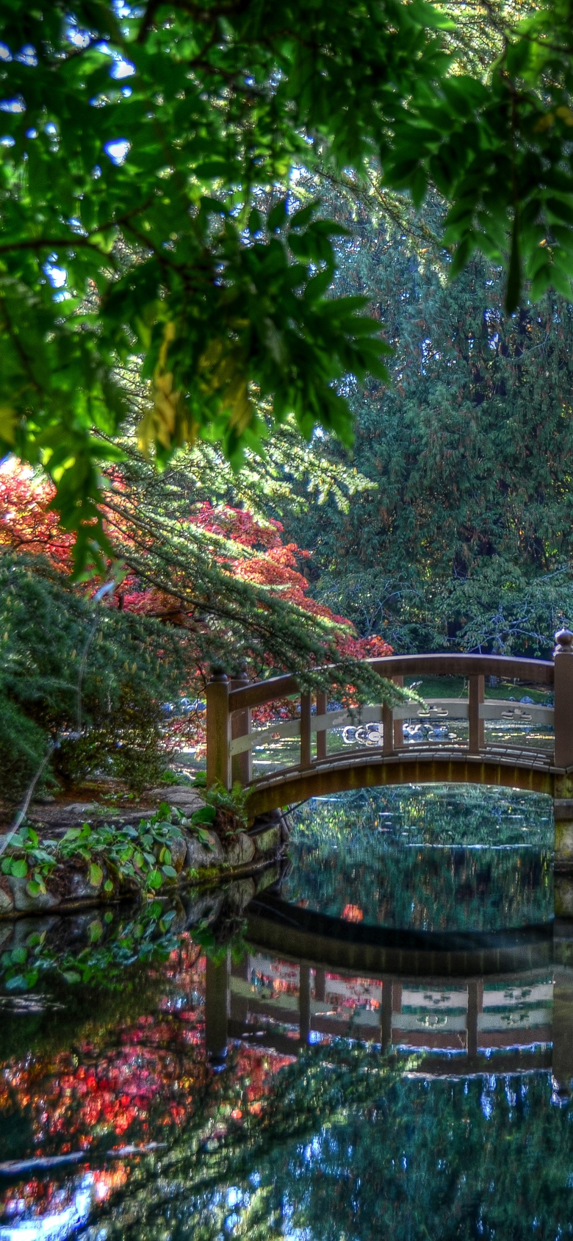 Braune Holzbrücke Über Den Fluss. Wallpaper in 1125x2436 Resolution