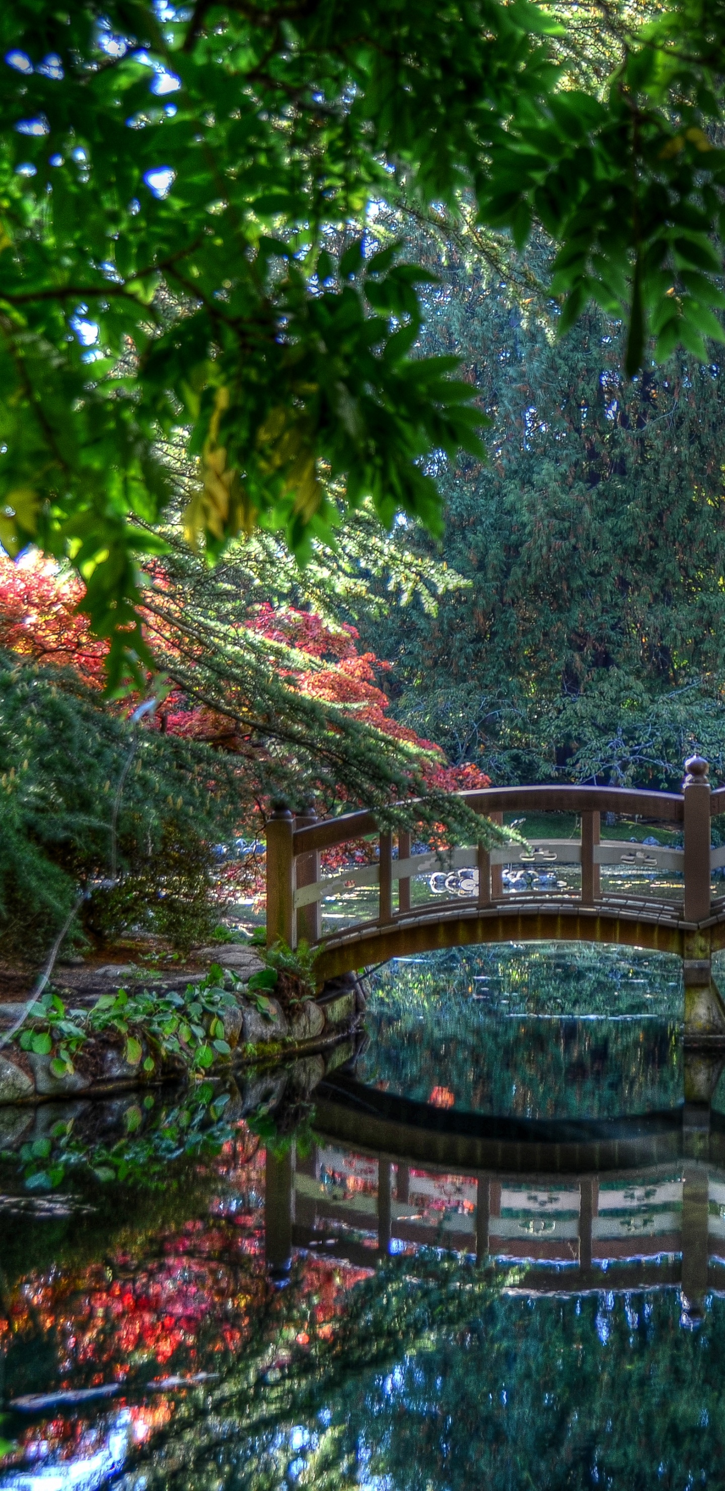 Braune Holzbrücke Über Den Fluss. Wallpaper in 1440x2960 Resolution