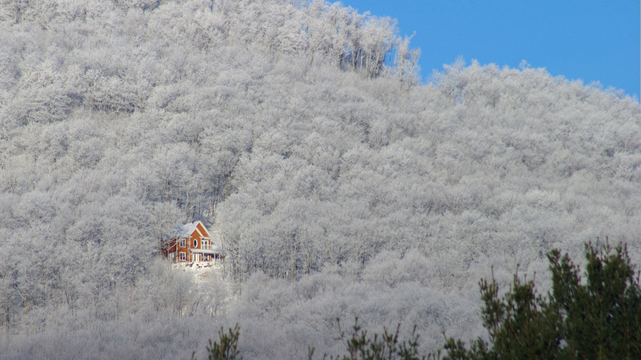 Maison en Bois Marron et Blanc Entourée D'arbres Sous Ciel Bleu Pendant la Journée. Wallpaper in 1280x720 Resolution