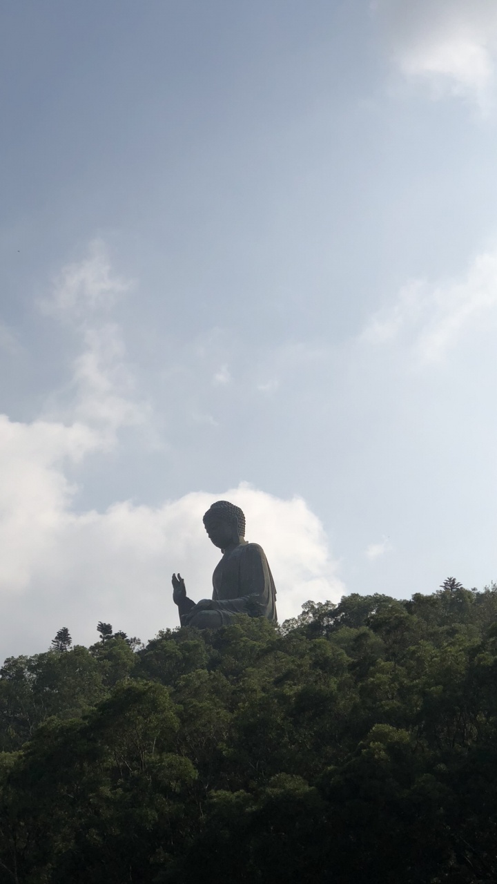 Tian Tan Buddha, Cloud, Cumulus, Back, Chaparral. Wallpaper in 720x1280 Resolution