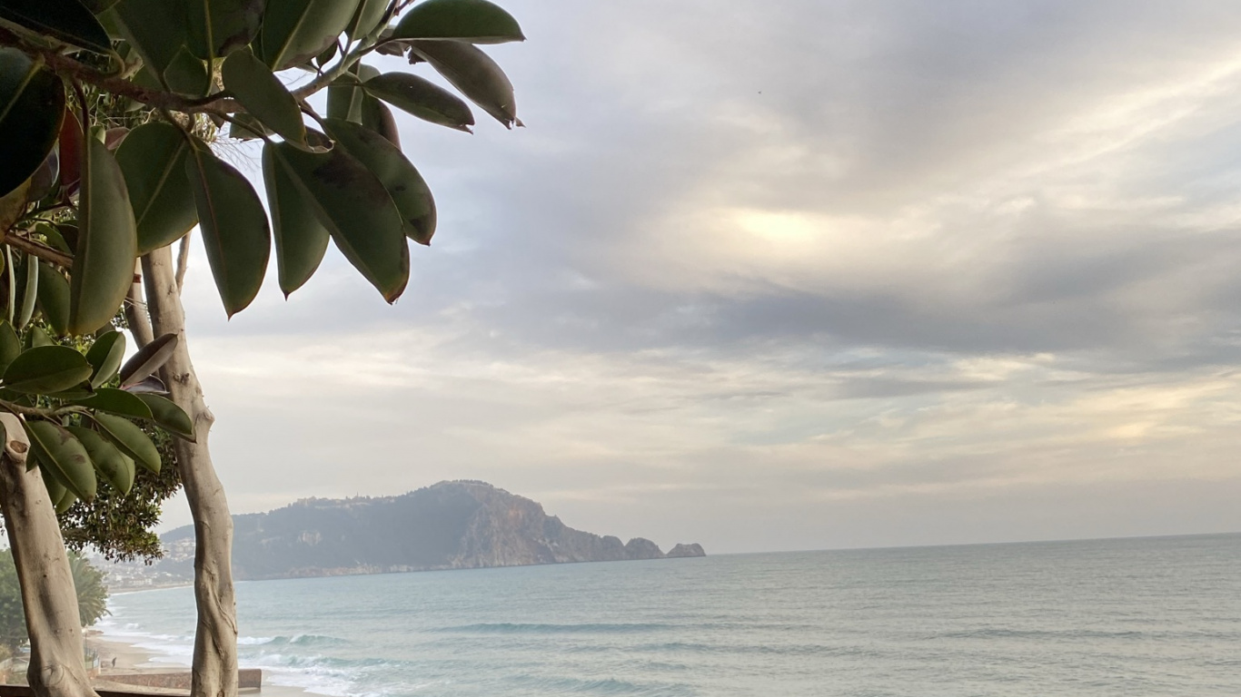 Meer, Palme, Cloud, Wasser, Tageszeit. Wallpaper in 1366x768 Resolution