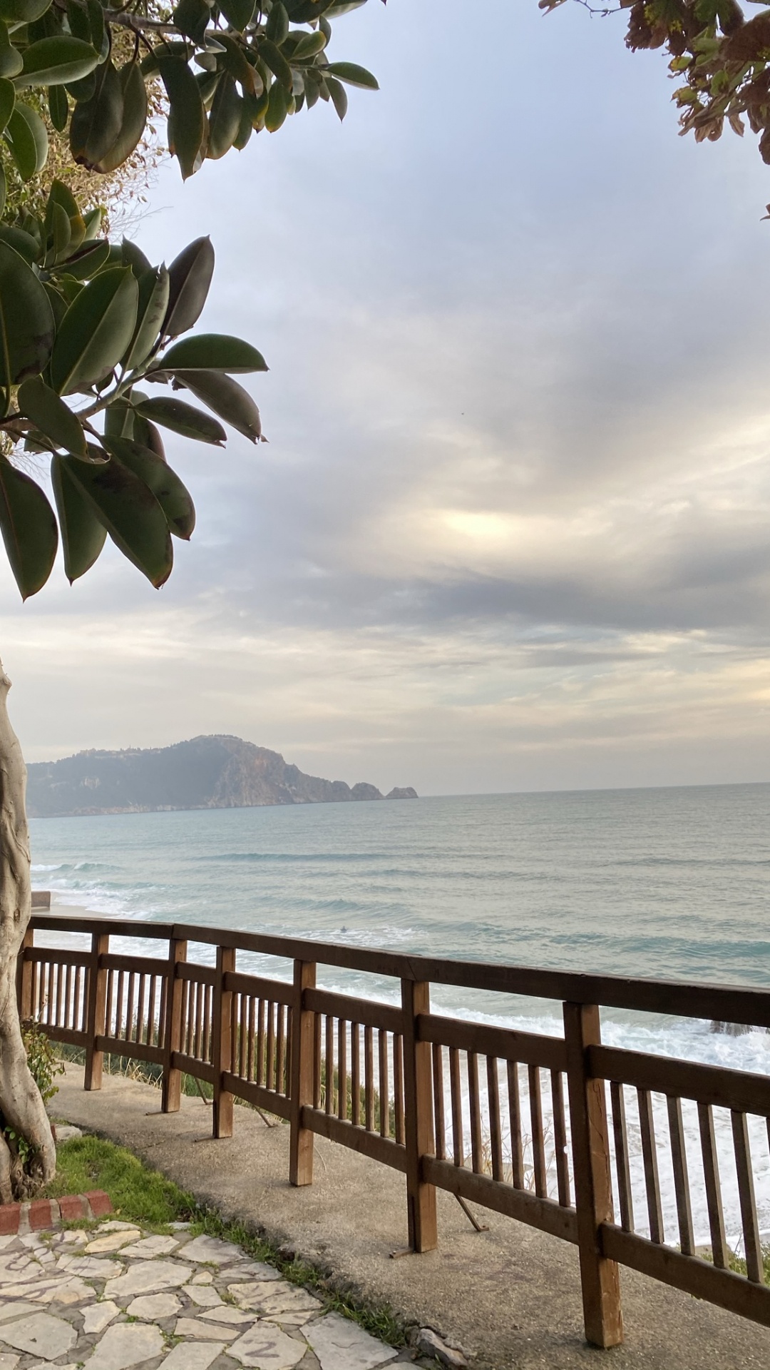 Sea, Palm Trees, Cloud, Water, Daytime. Wallpaper in 1080x1920 Resolution