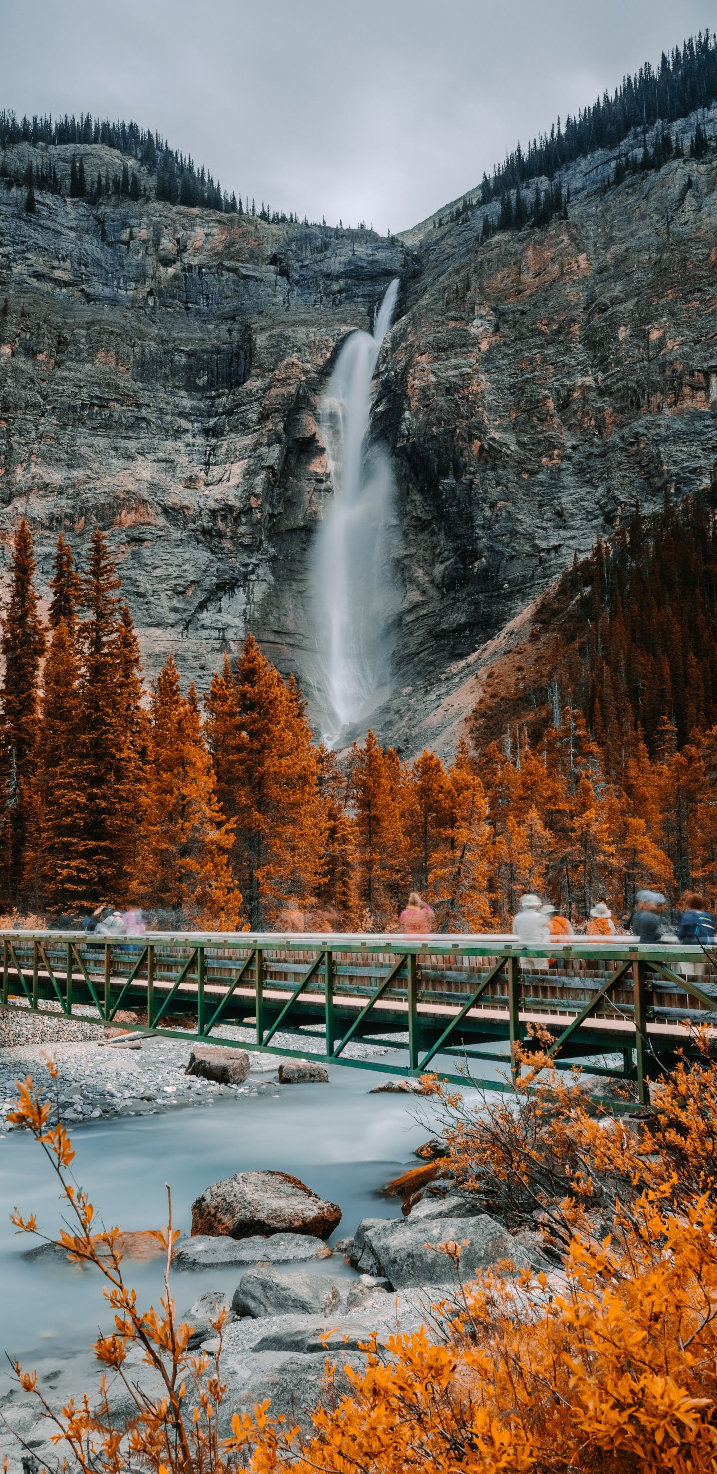 Wasserfall, Natur, Naturlandschaft, Wasser, Wildnis. Wallpaper in 1440x2960 Resolution