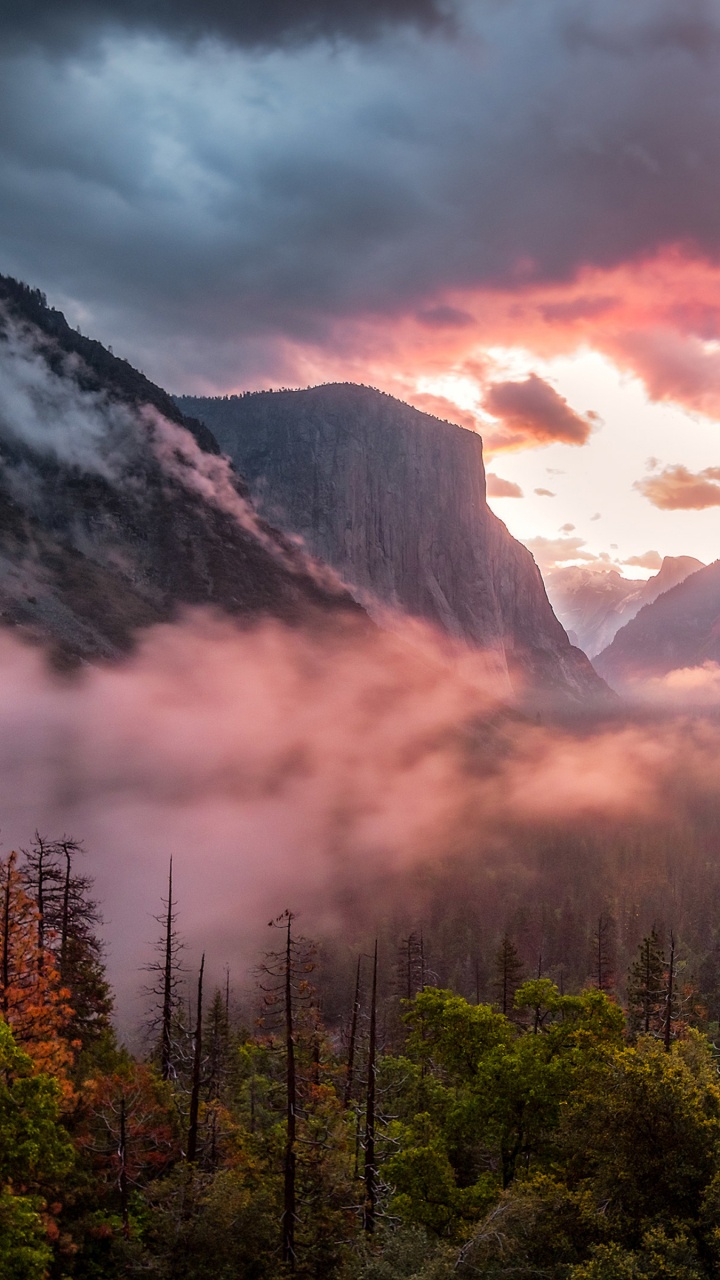 Green Trees Near Mountain Under Cloudy Sky During Daytime. Wallpaper in 720x1280 Resolution