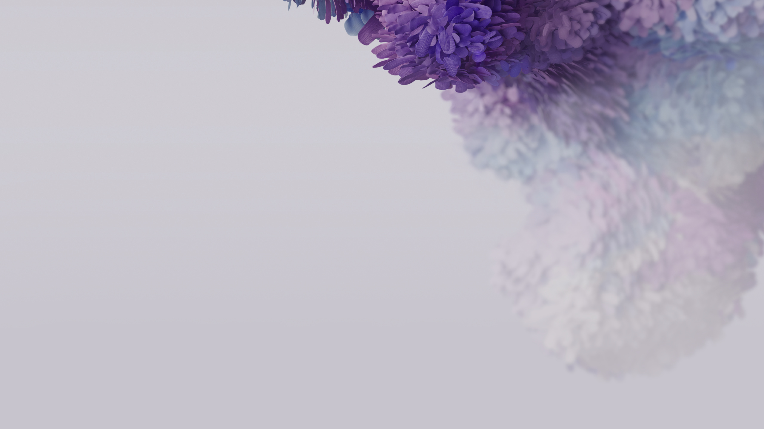 Samsung Galaxy, Samsung, Samsung Galaxy S20, Fondos de Pantalla Galaxy S20, Android. Wallpaper in 2560x1440 Resolution