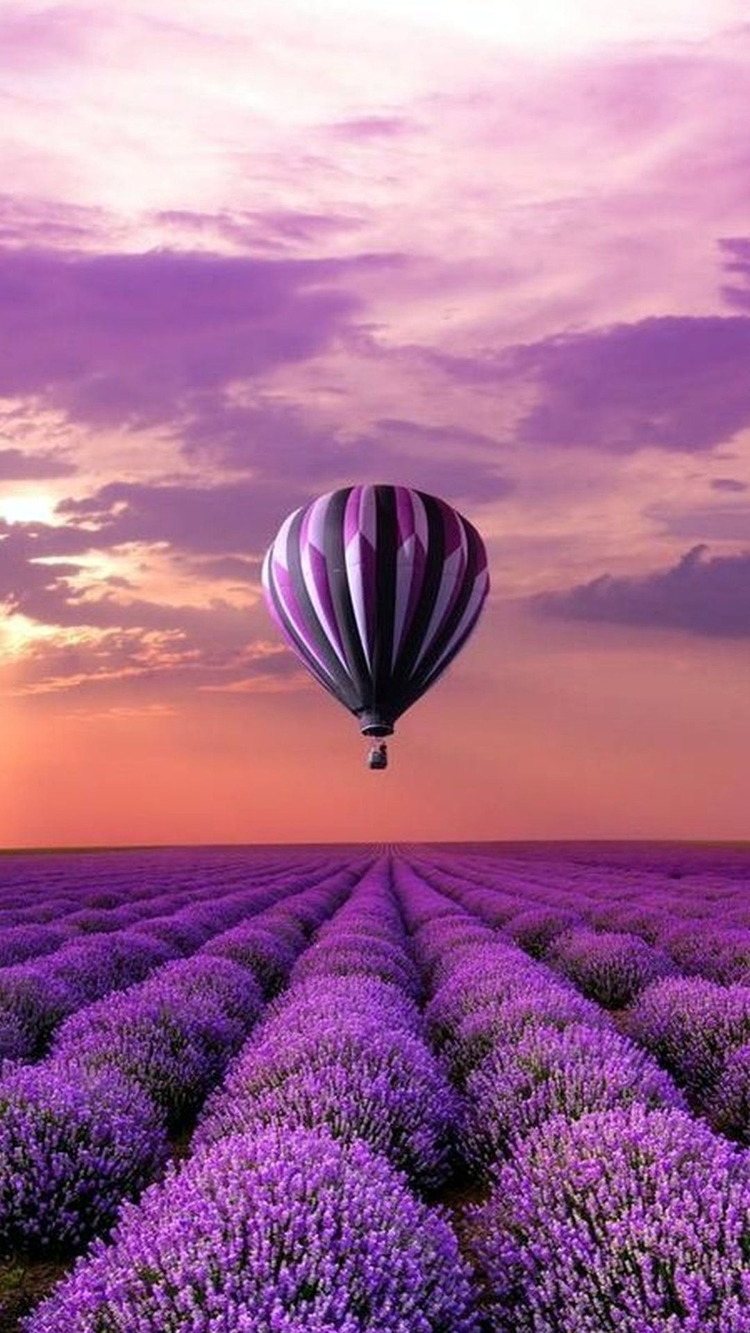 Champ de Fleurs Violettes Sous Ciel Nuageux Pendant la Journée. Wallpaper in 1080x1920 Resolution