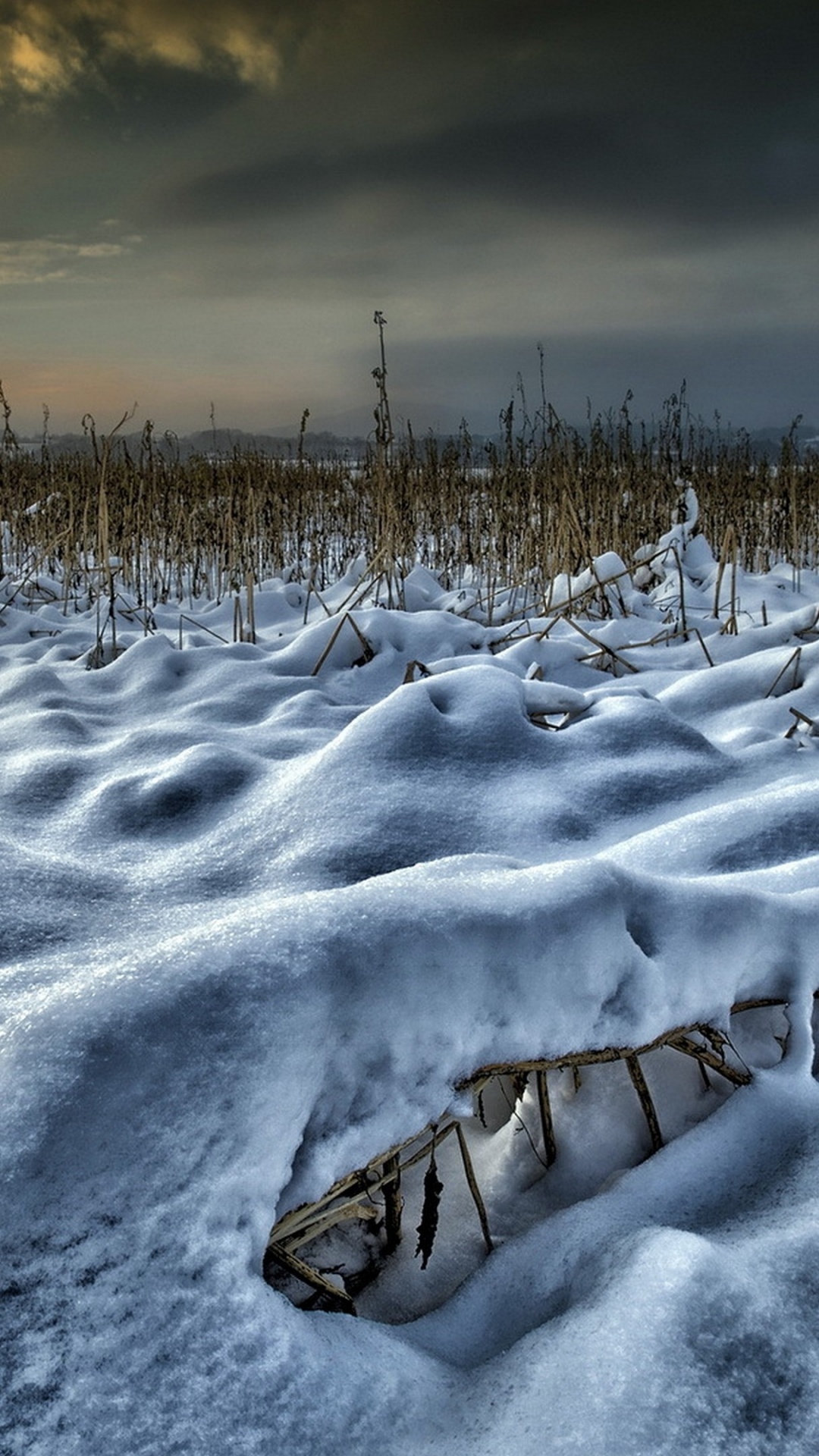 Champ Couvert de Neige au Coucher du Soleil. Wallpaper in 1080x1920 Resolution