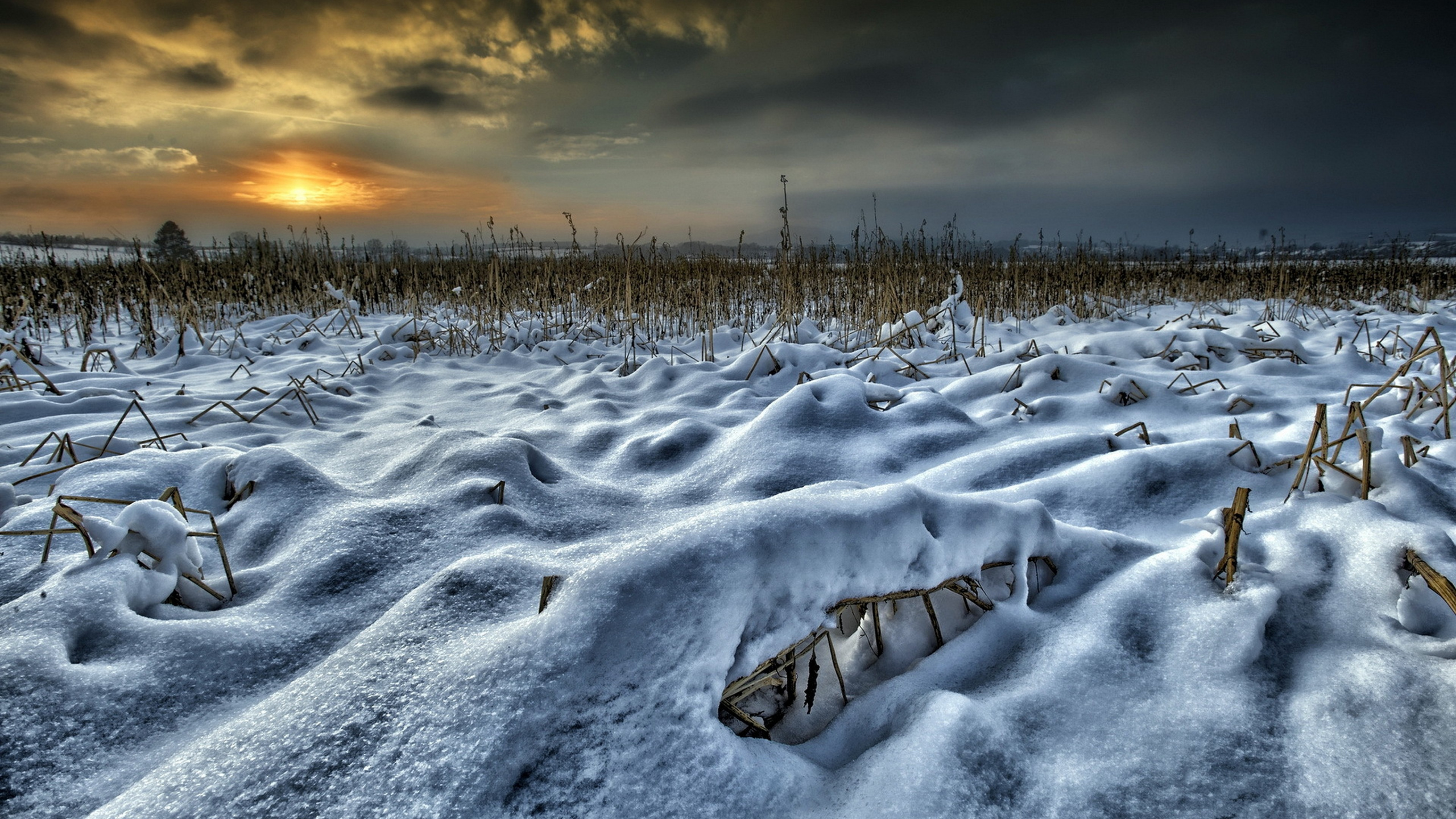 Schneebedecktes Feld Bei Sonnenuntergang. Wallpaper in 2560x1440 Resolution