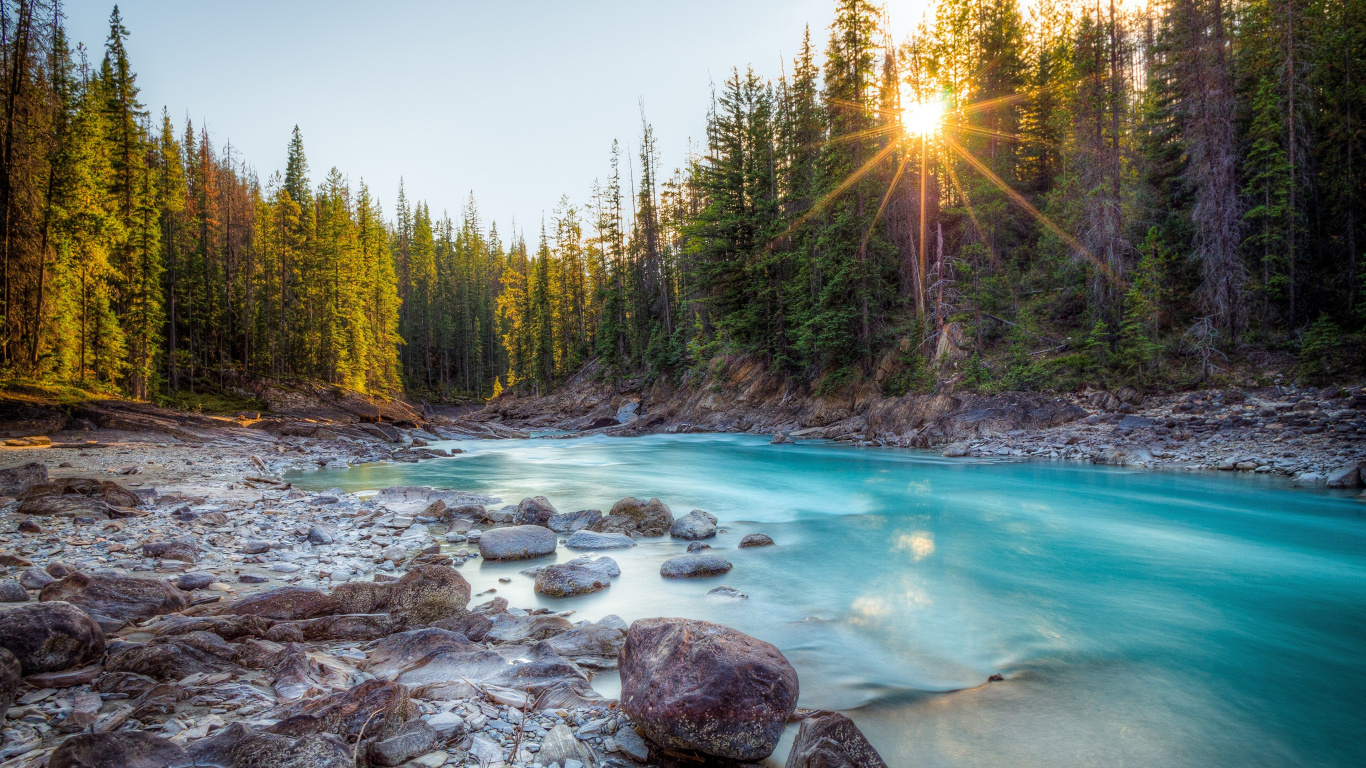 Arbres Verts à Côté D'un Plan D'eau Pendant la Journée. Wallpaper in 1366x768 Resolution
